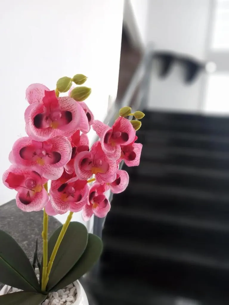 Property building in Pousada Trip Inn Recife