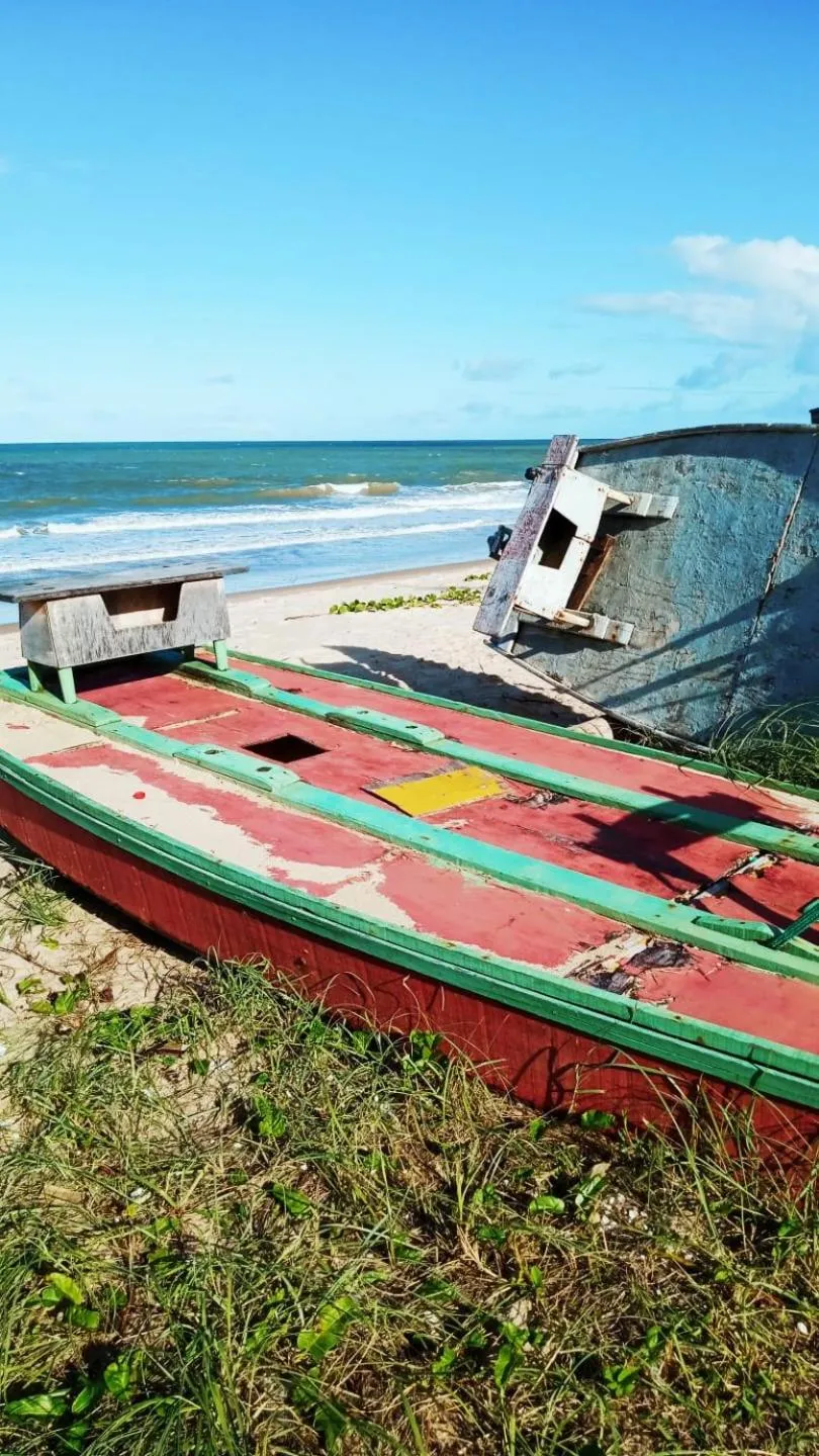 Natural landscape in Pousada Trip Inn Recife