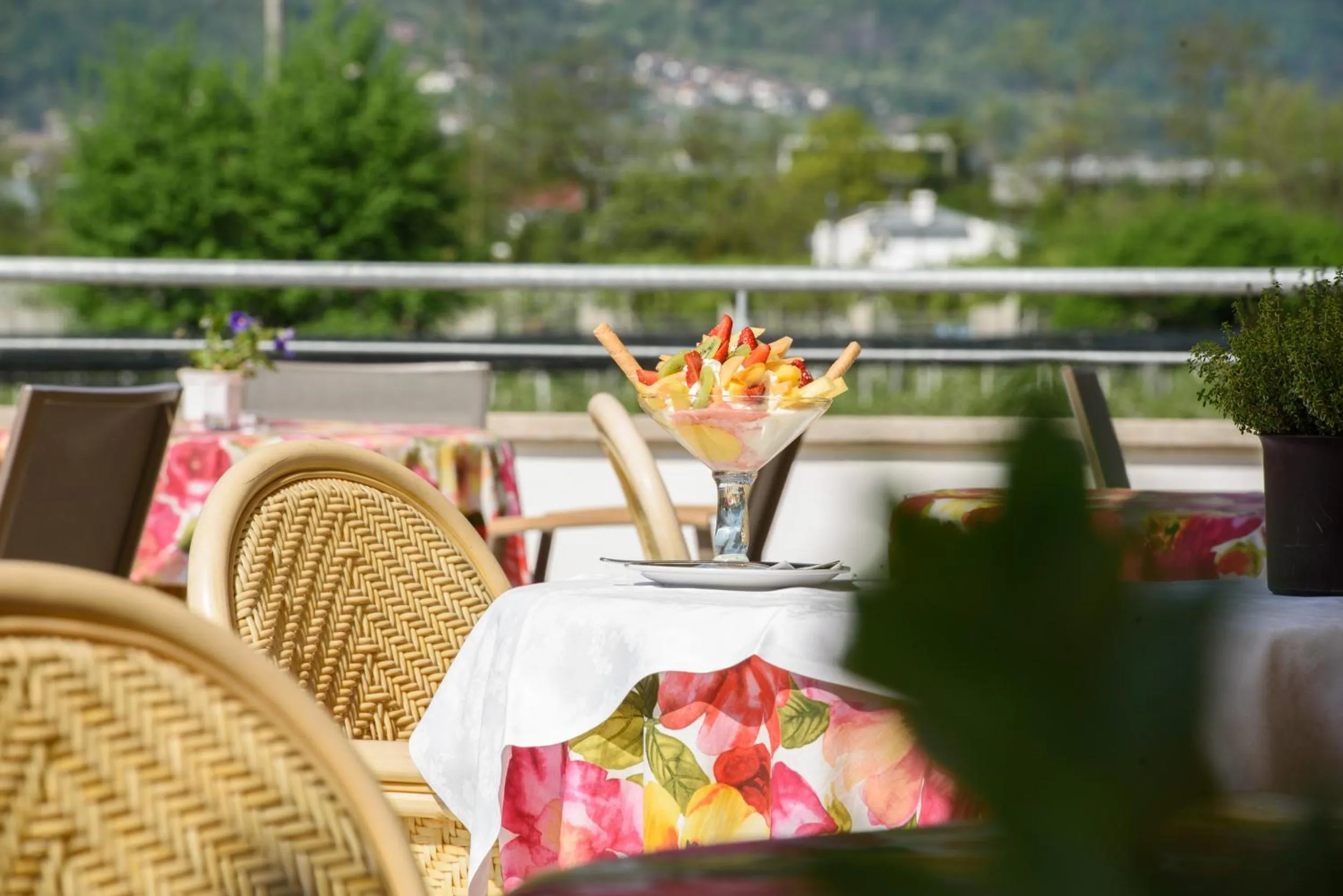 Food in Hotel Greifenstein