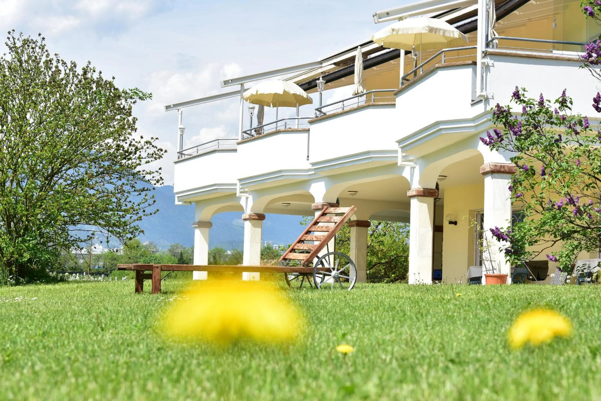 Natural landscape in Hotel Greifenstein