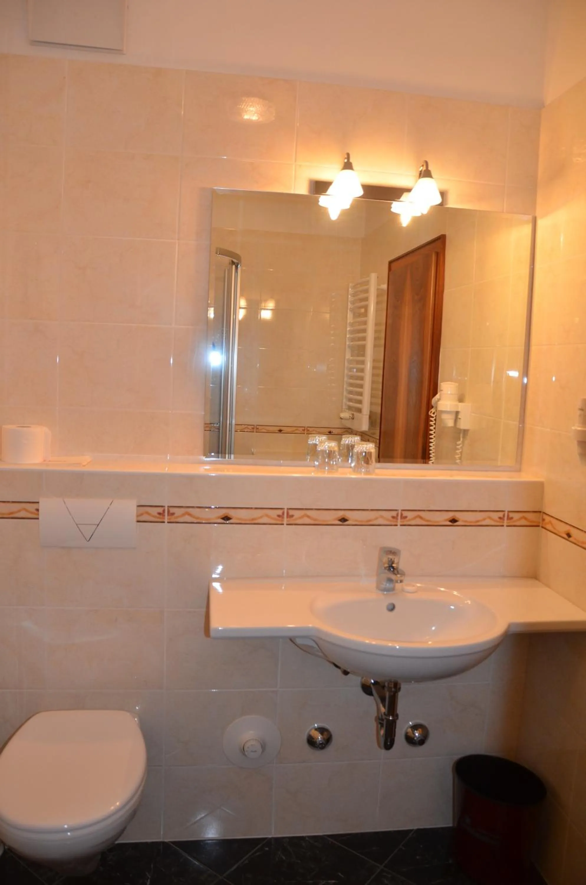 Toilet in Hotel Greifenstein