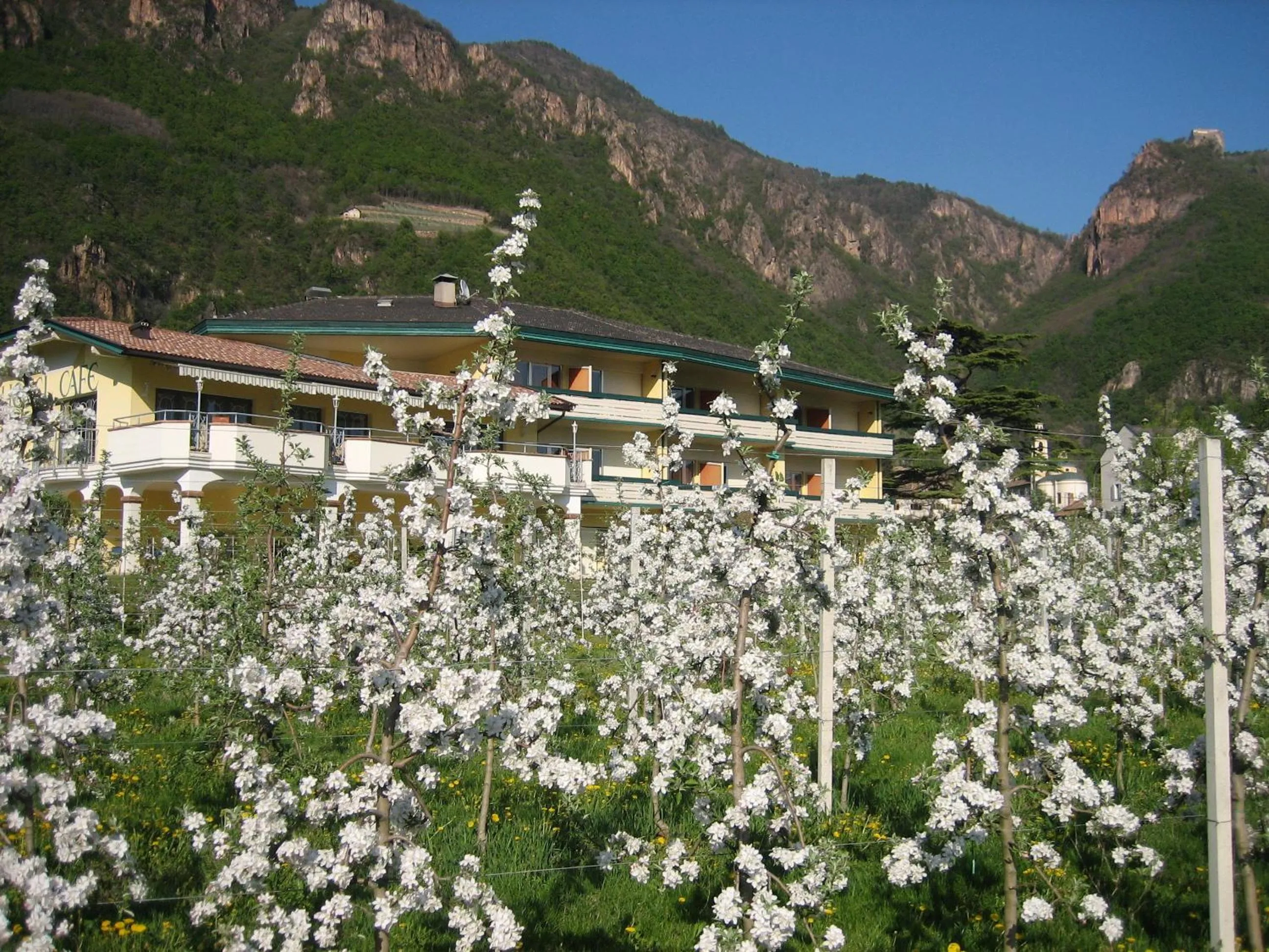 Garden in Hotel Greifenstein