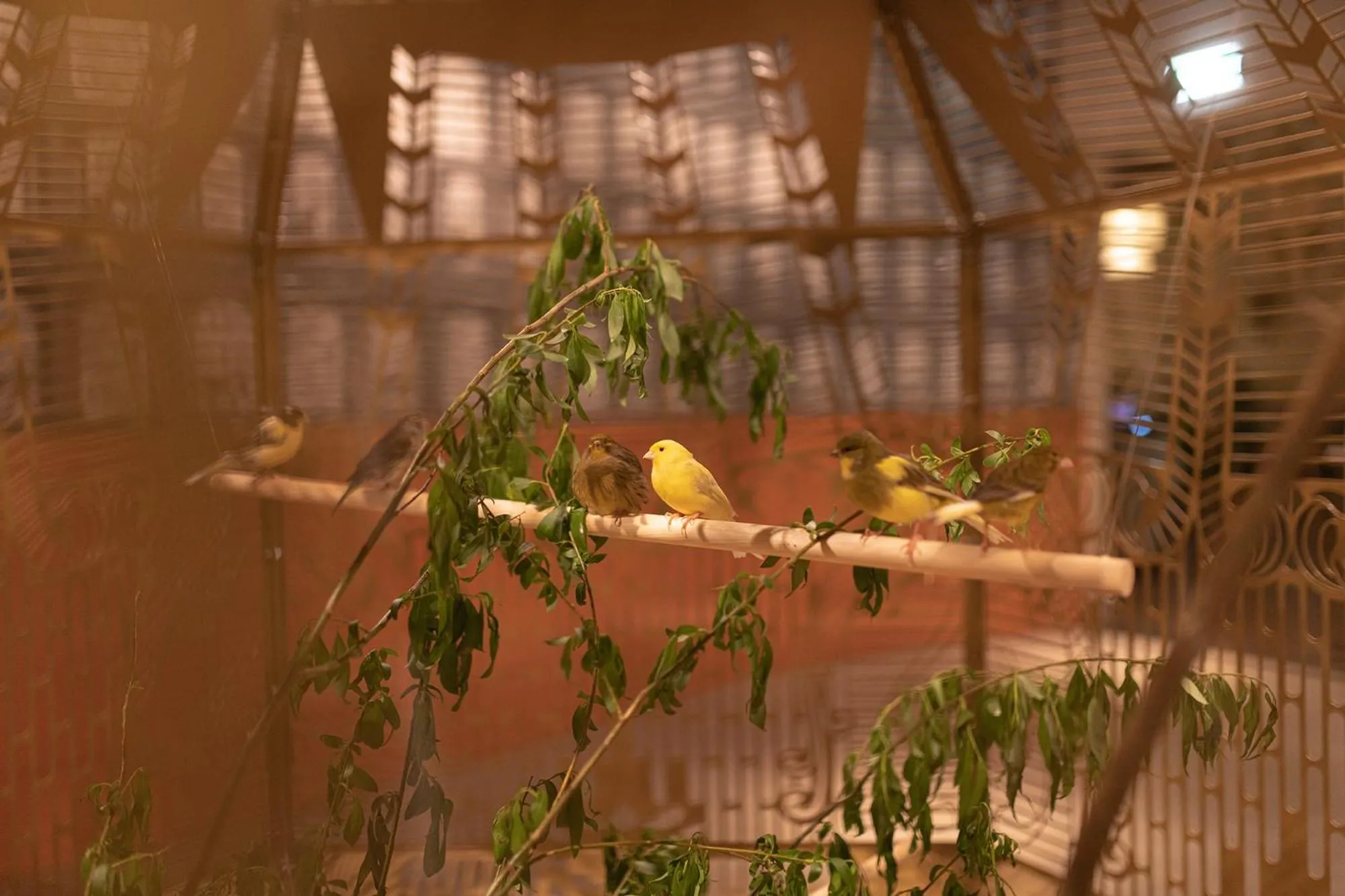 Animals in Vaeshartelt Maastricht