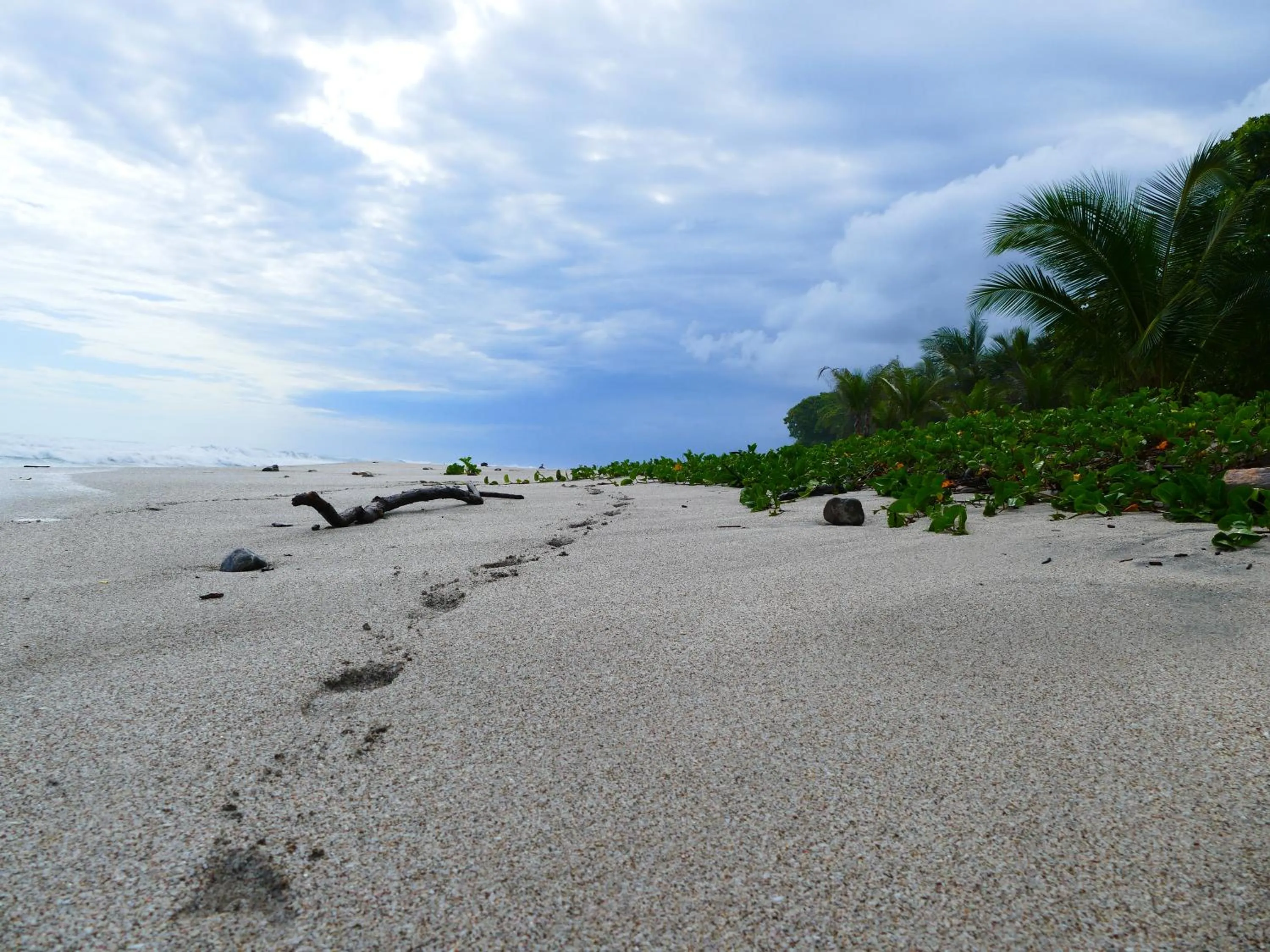 Beach in Maoritsio Garden Studios