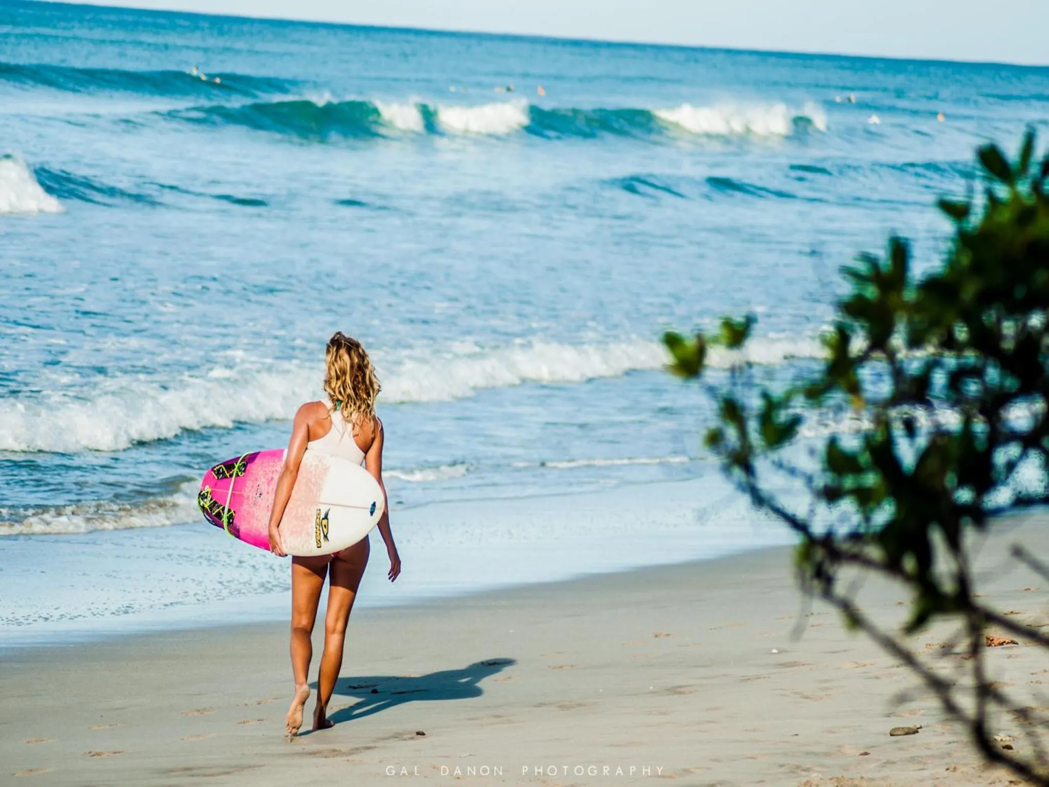 Day in Maoritsio Garden Studios