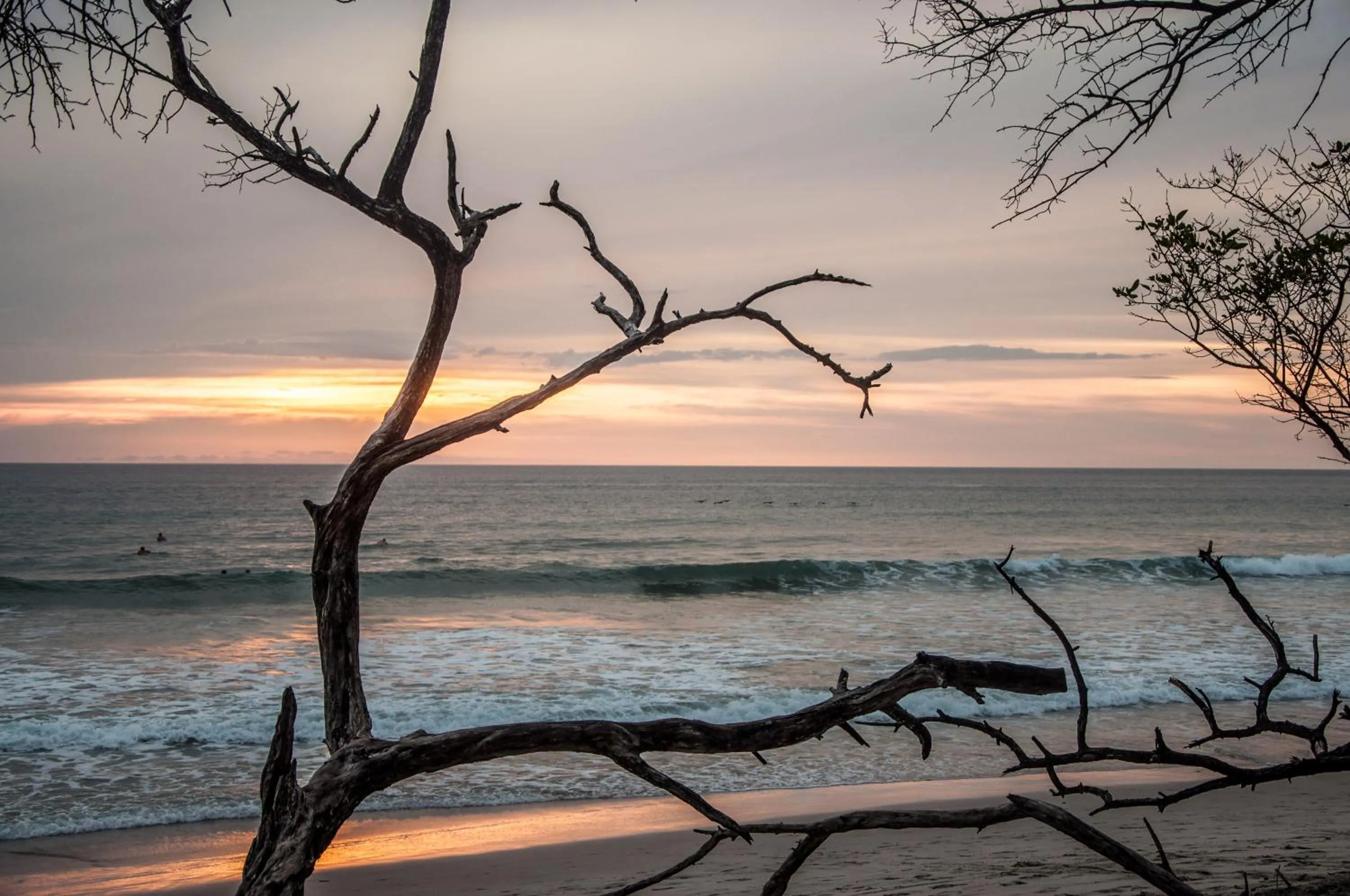 Beach in Maoritsio Garden Studios