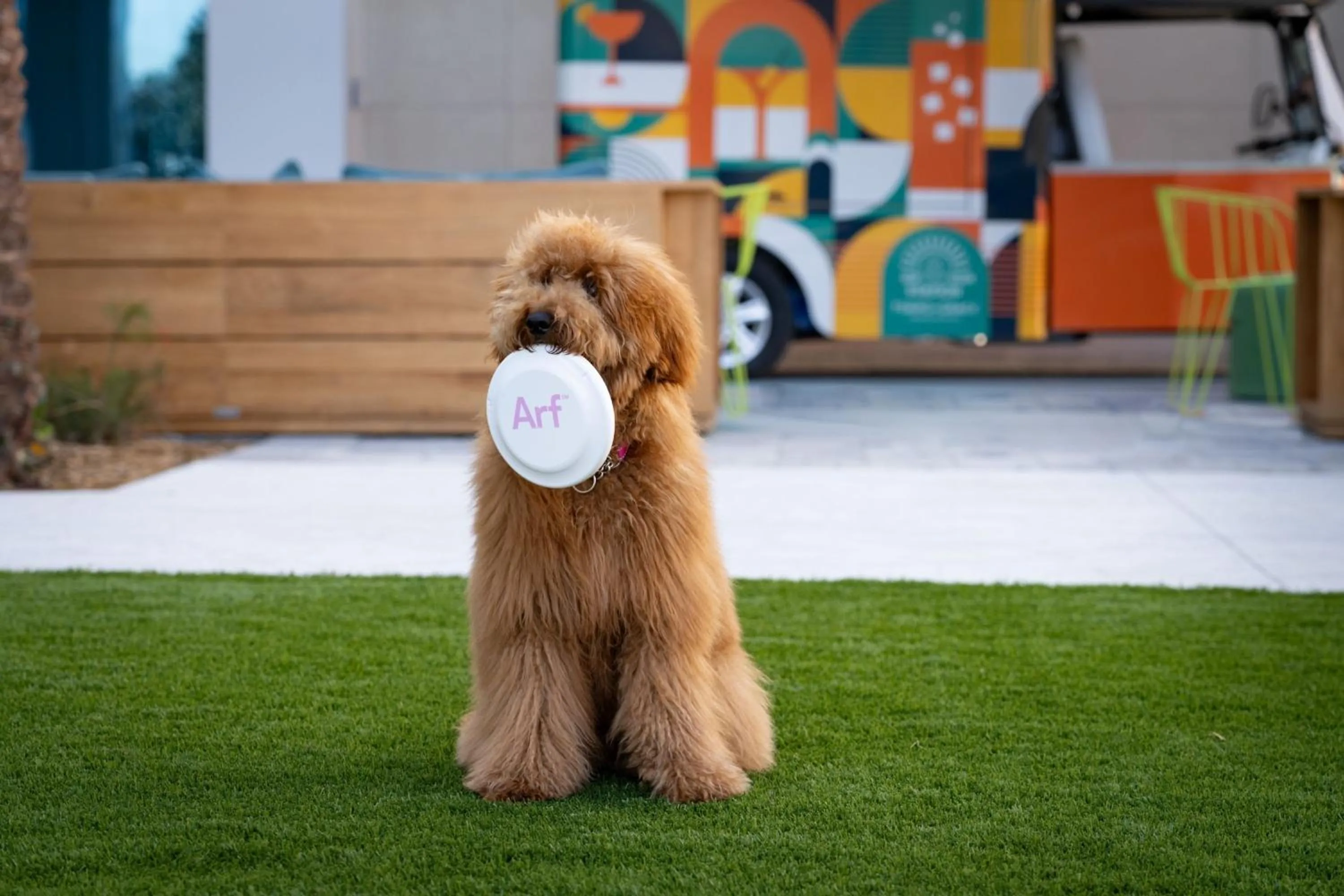 Other in Aloft Orlando Lake Nona