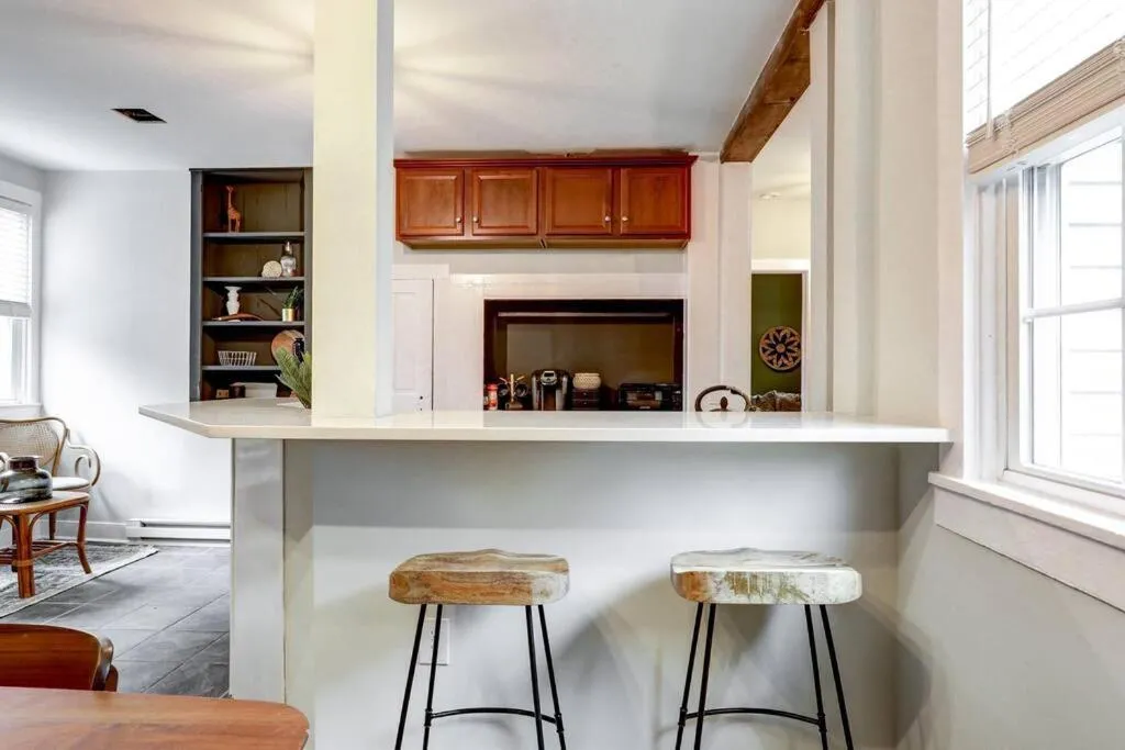 Cozy Dark & Moody Home New Reno 10 mins to Lanc