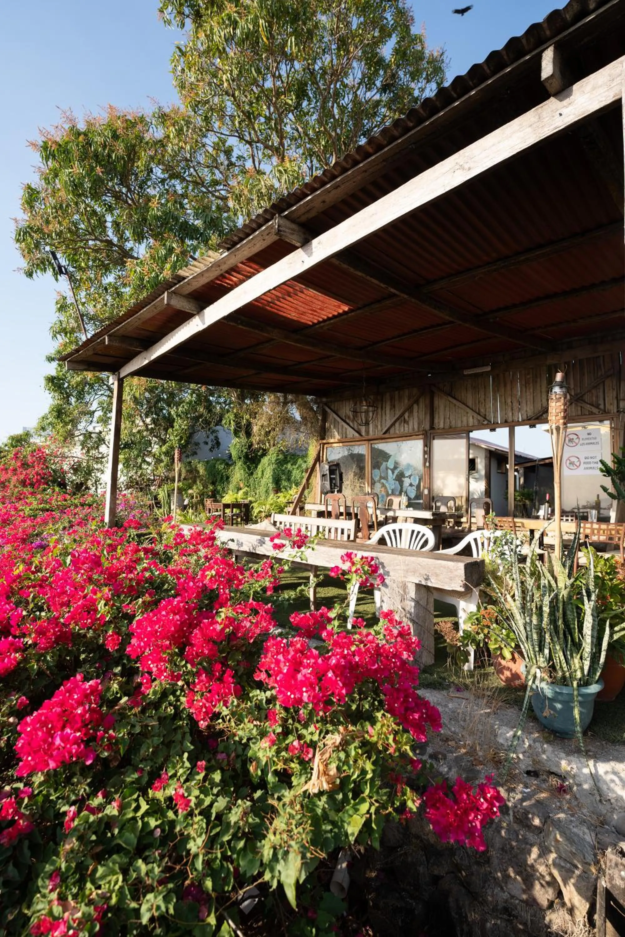 Hotel Punta Descartes