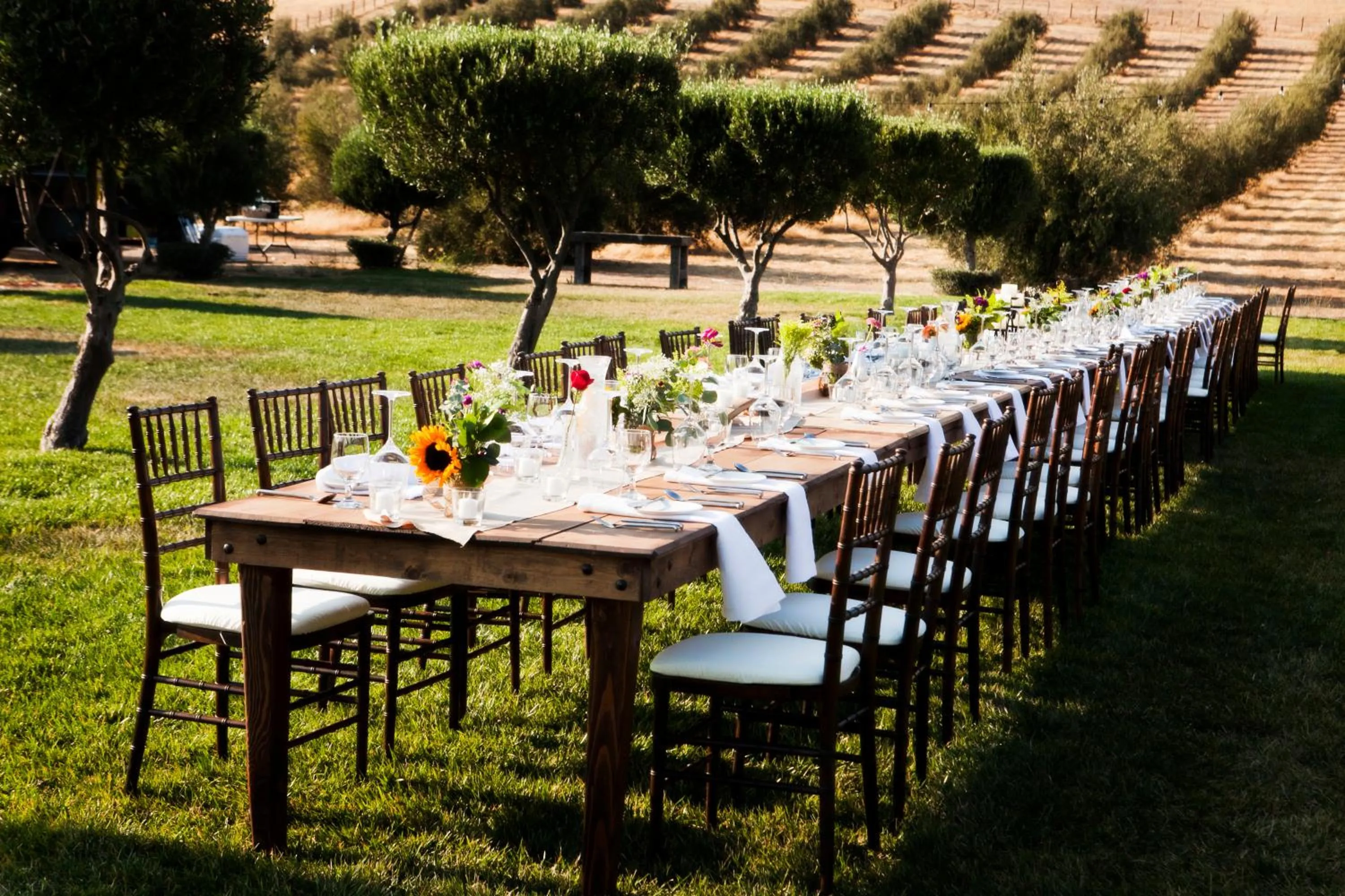 Purple Orchid Resort & Spa