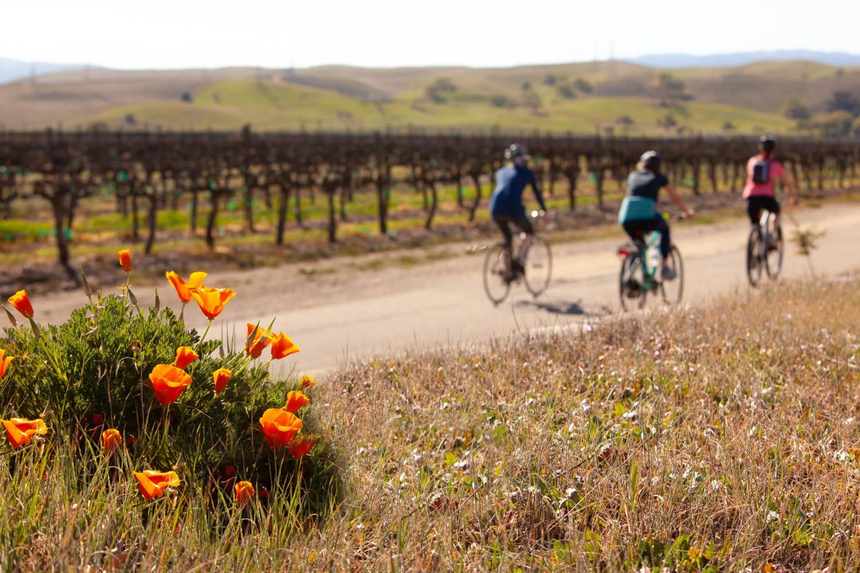 Purple Orchid Resort & Spa