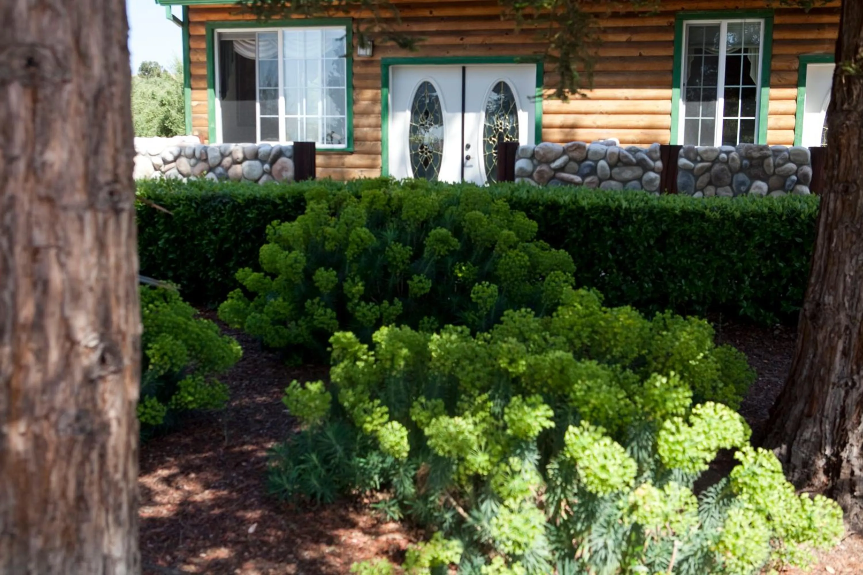 Patio in Purple Orchid Resort & Spa