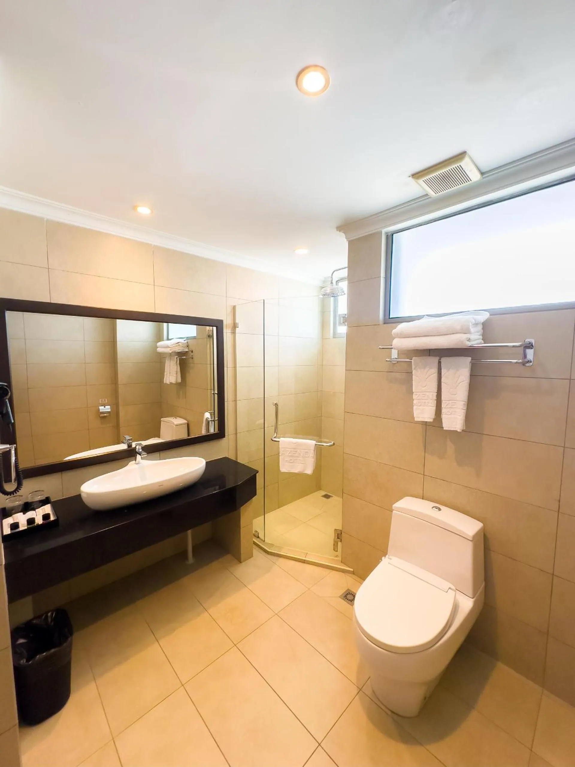 Toilet in Lazenda Hotel