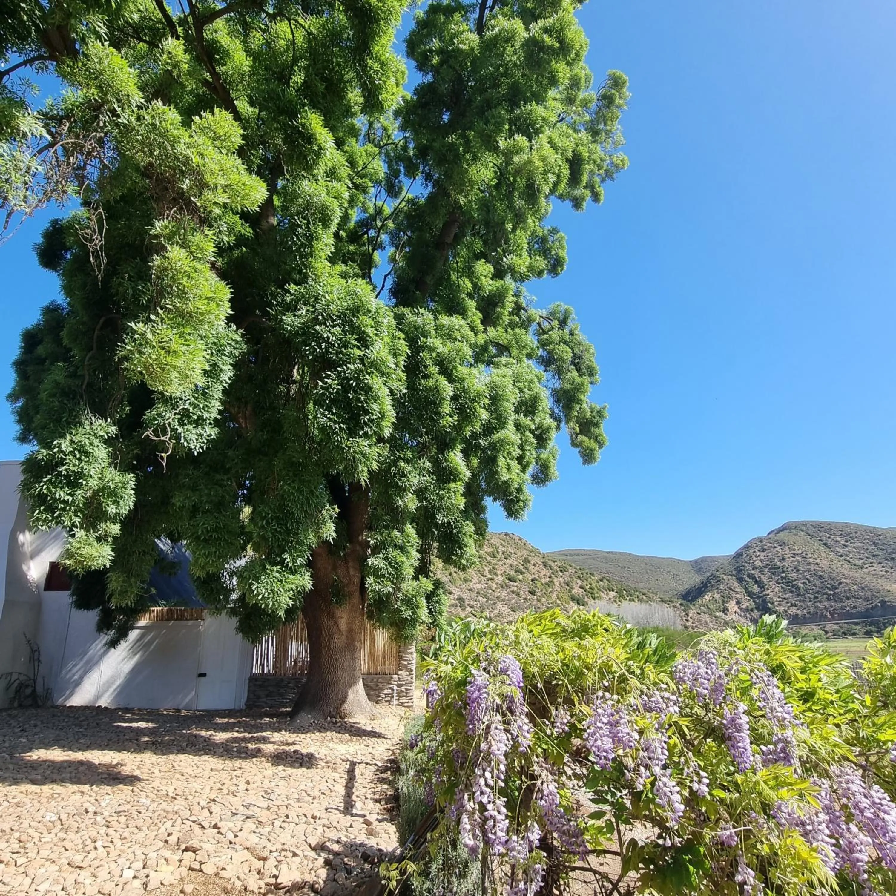 Facade/entrance in De Kombuys