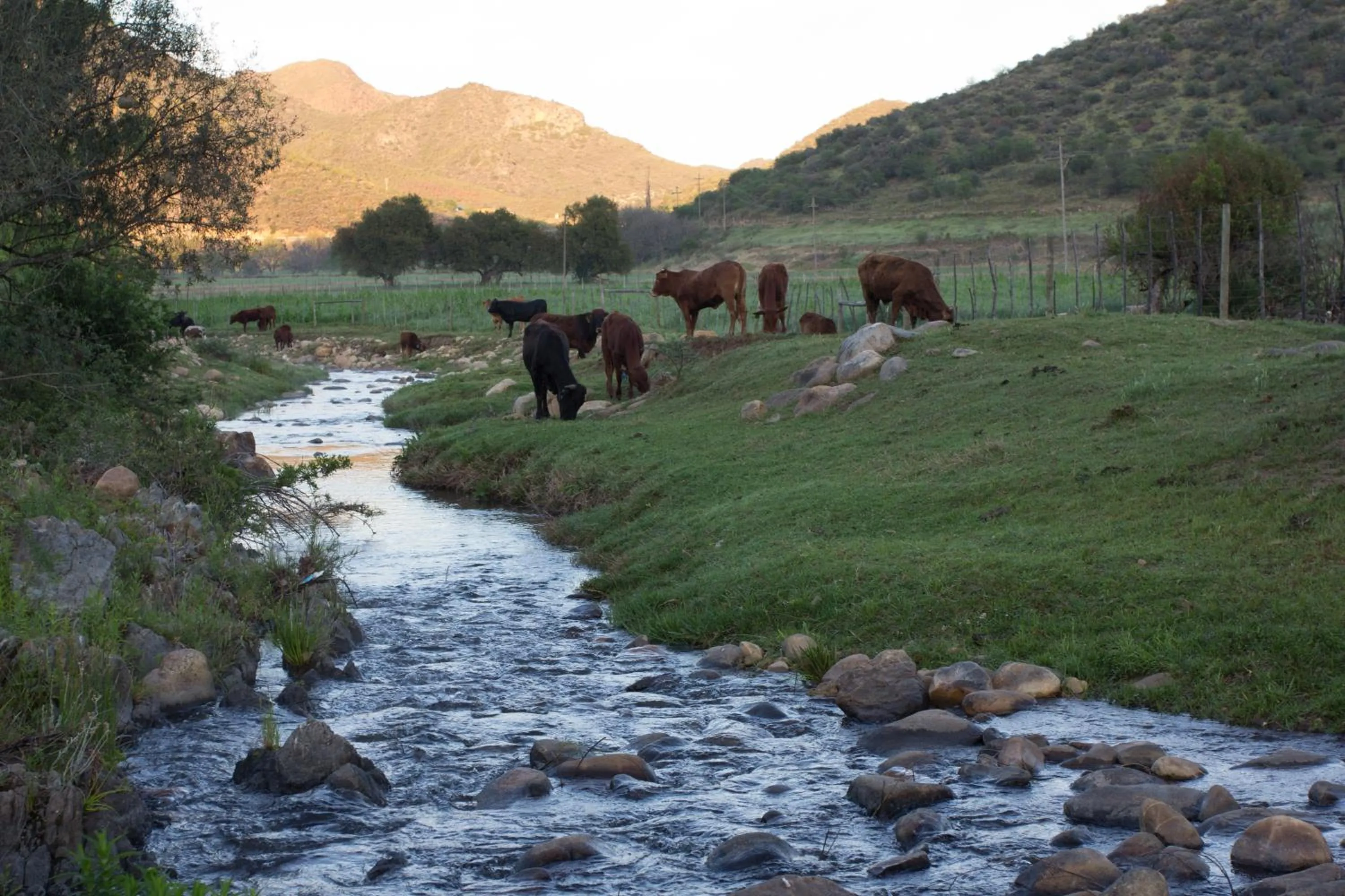 View (from property/room) in De Kombuys