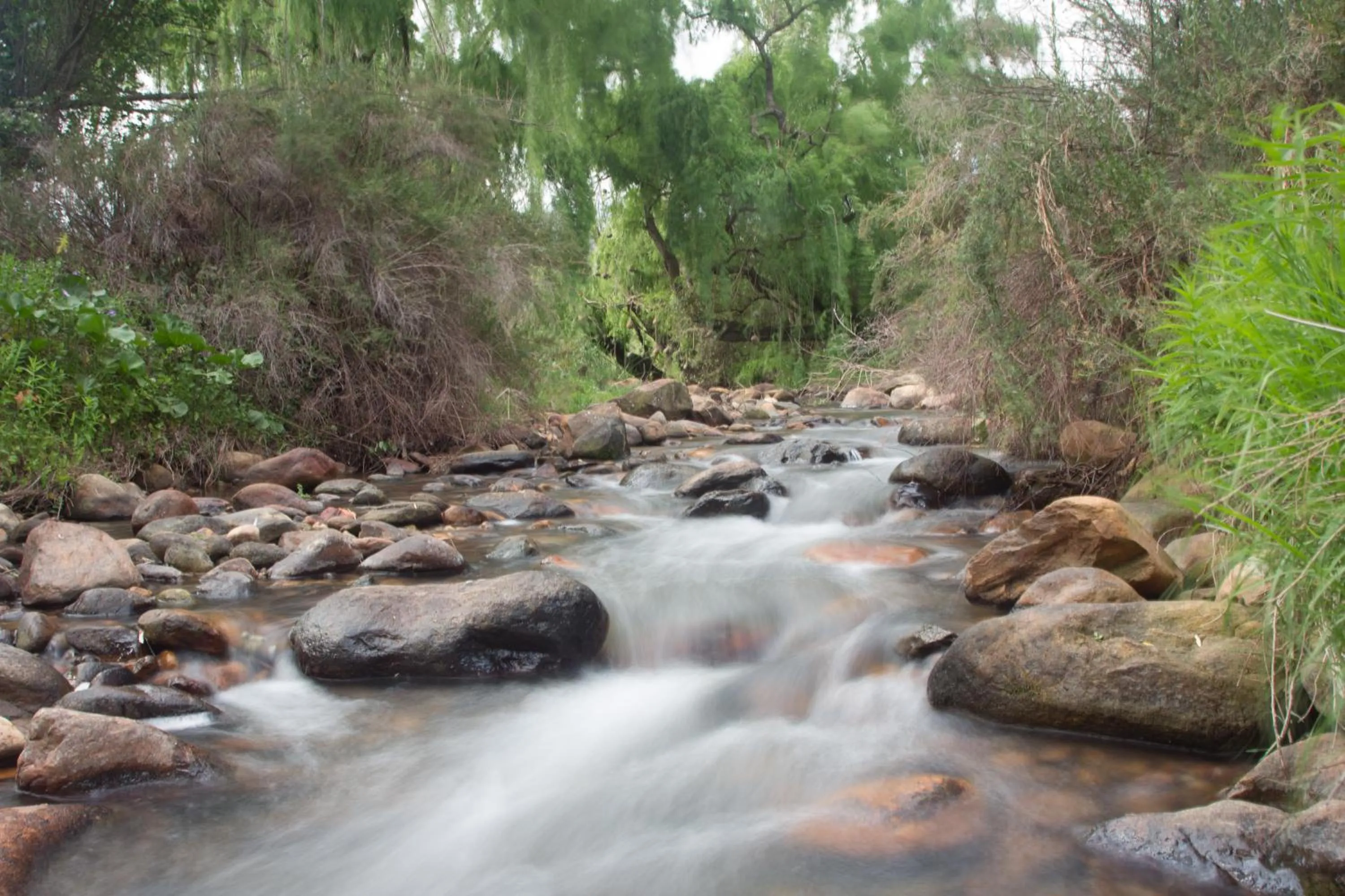 Area and facilities in De Kombuys
