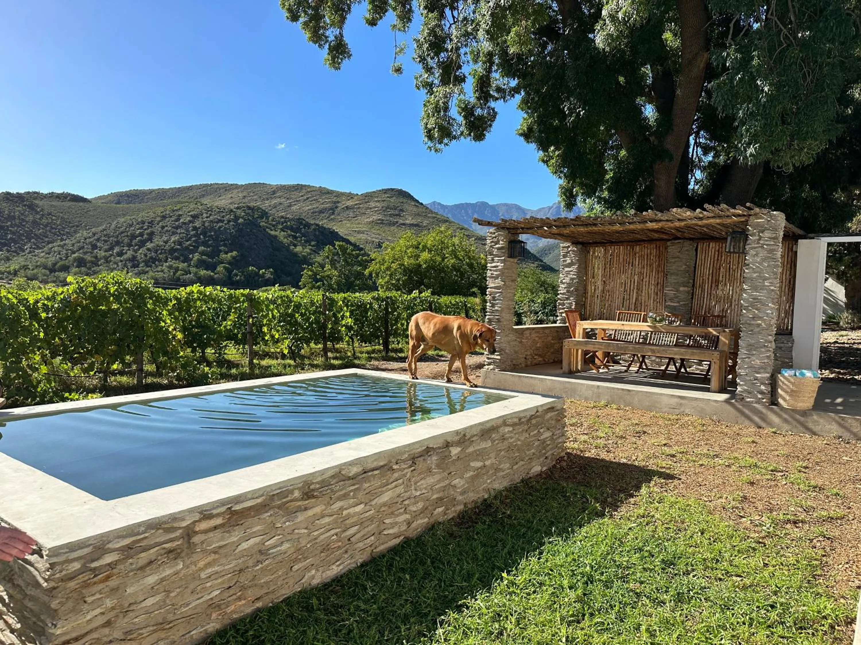 Swimming pool in De Kombuys