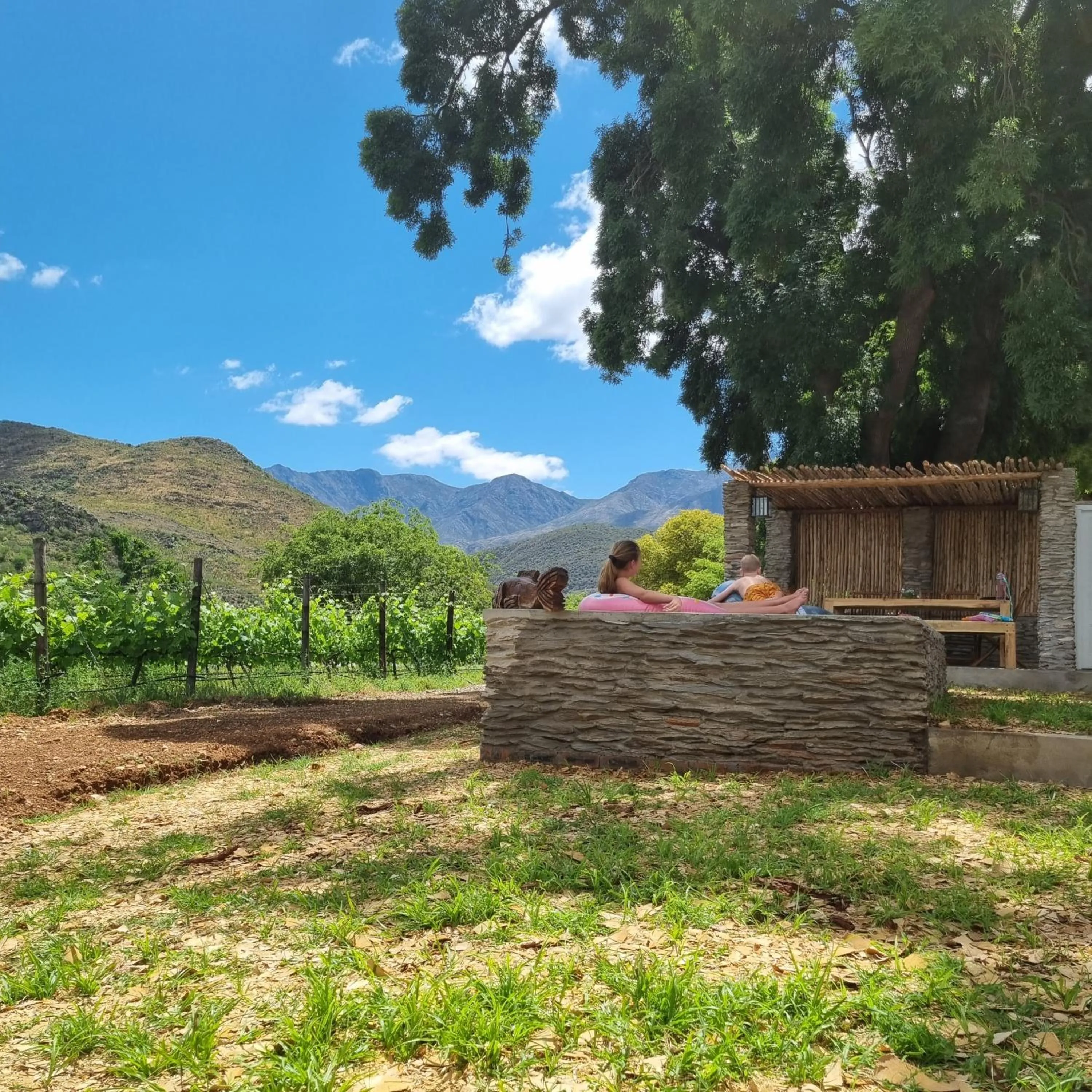 Swimming pool in De Kombuys