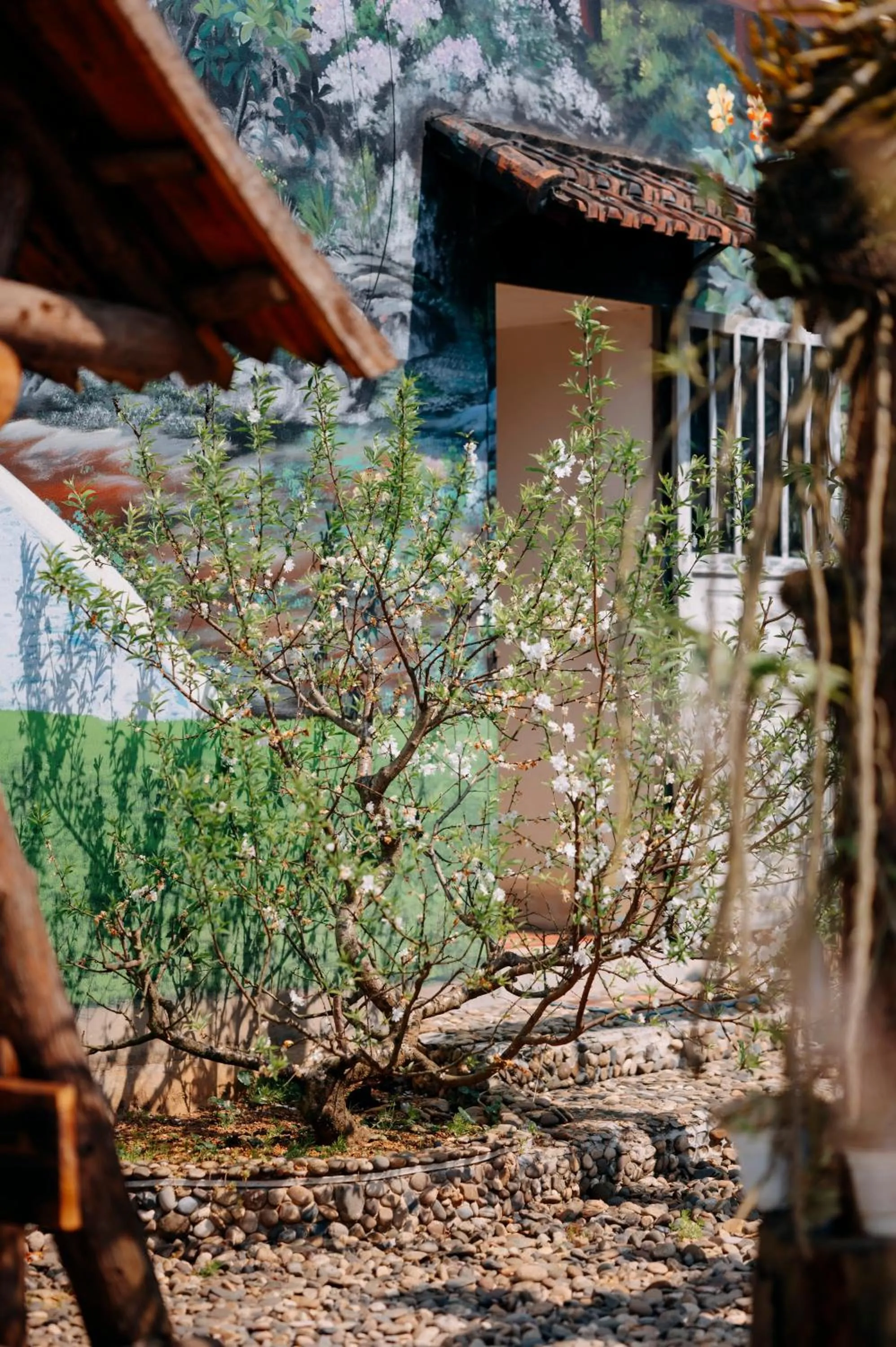 Sinai Bungalow & Hotel SaPa