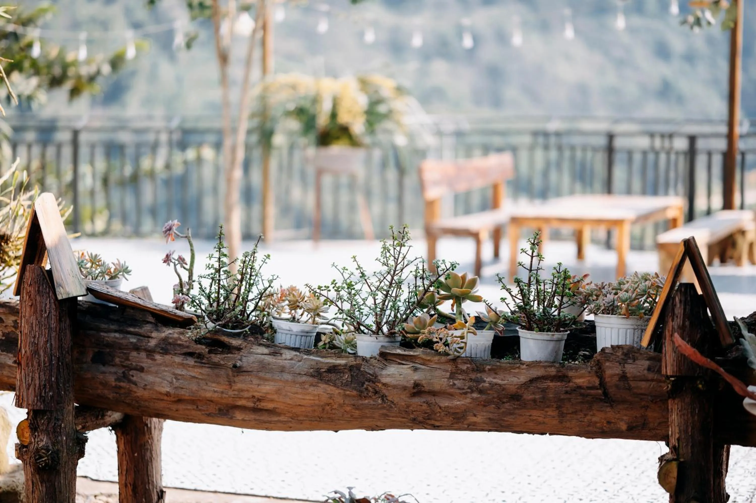 Sinai Bungalow & Hotel SaPa