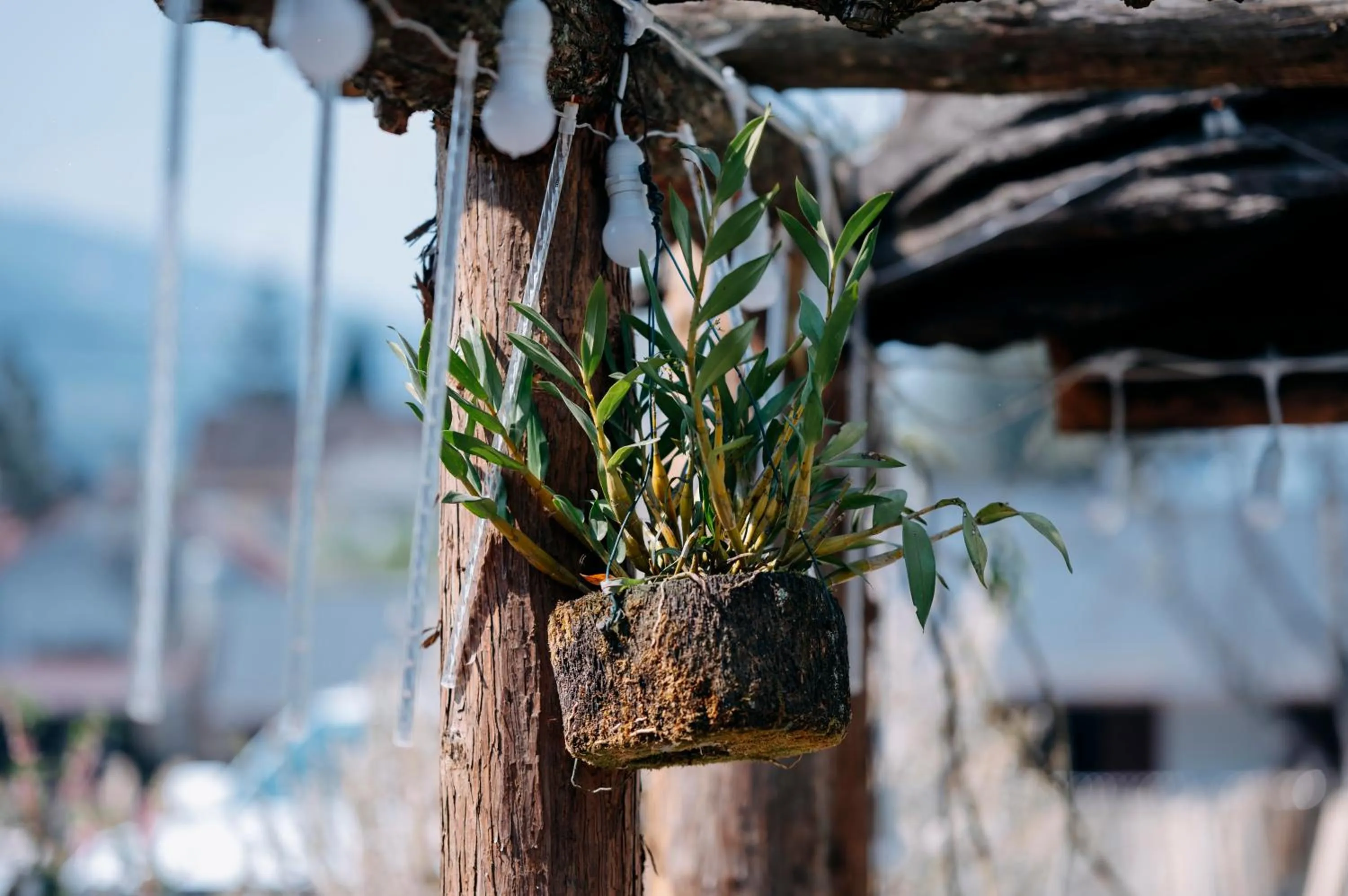 Sinai Bungalow & Hotel SaPa