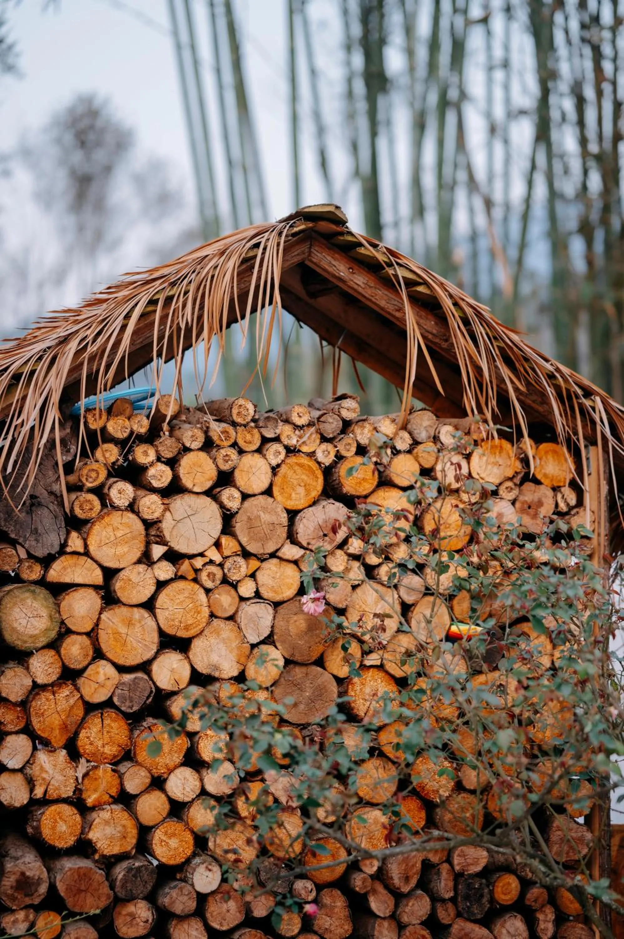 Sinai Bungalow & Hotel SaPa