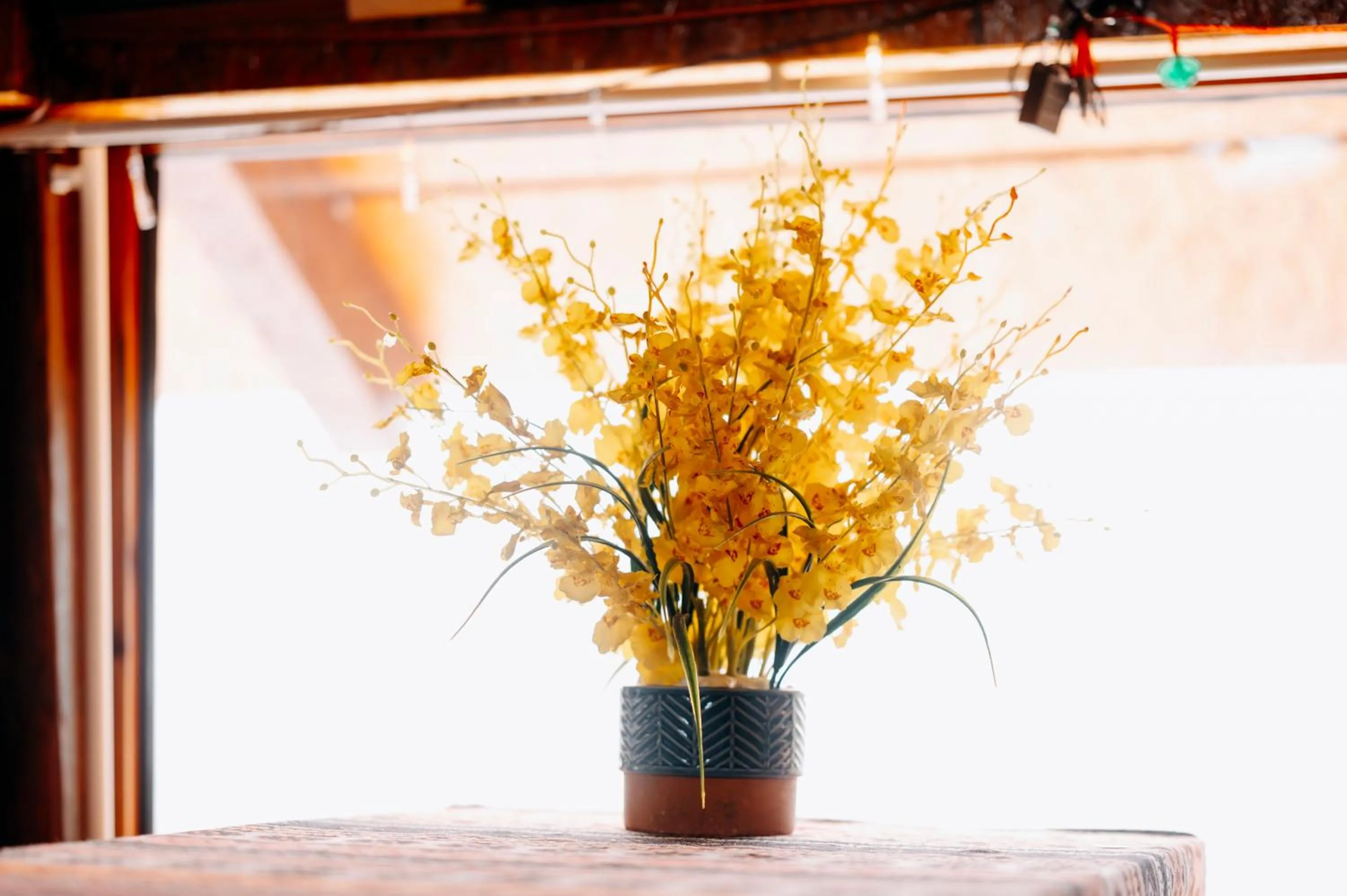 Sinai Bungalow & Hotel SaPa