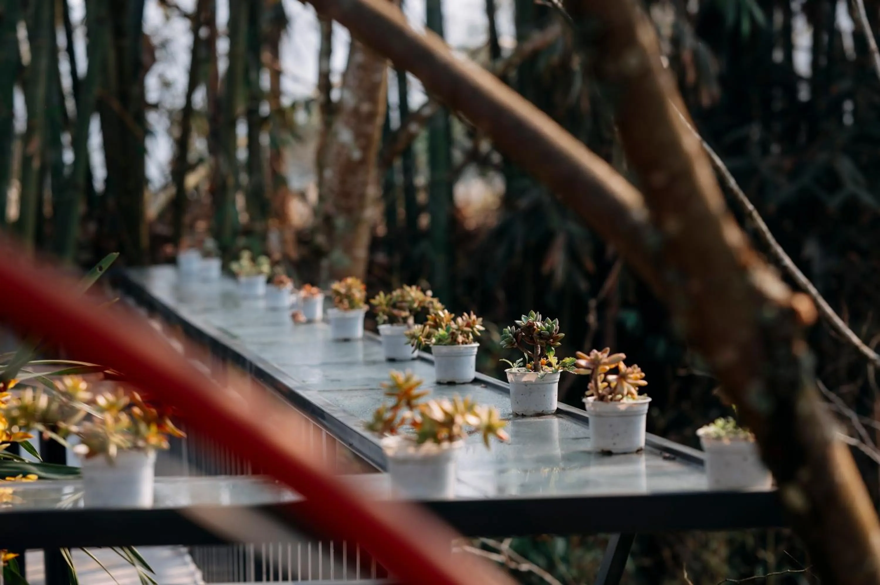 Sinai Bungalow & Hotel SaPa