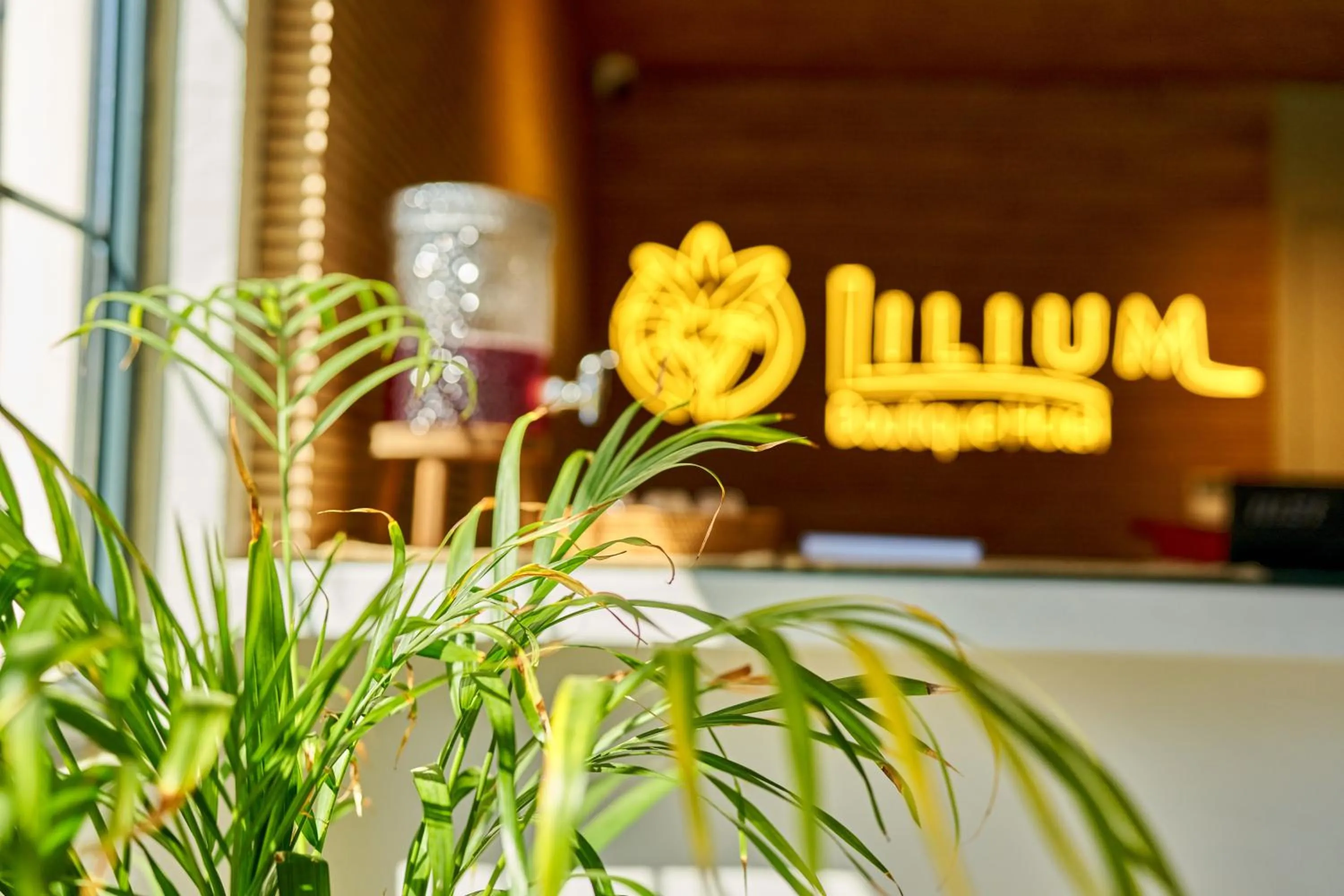 Lobby or reception in Lilium Boutique Hotel