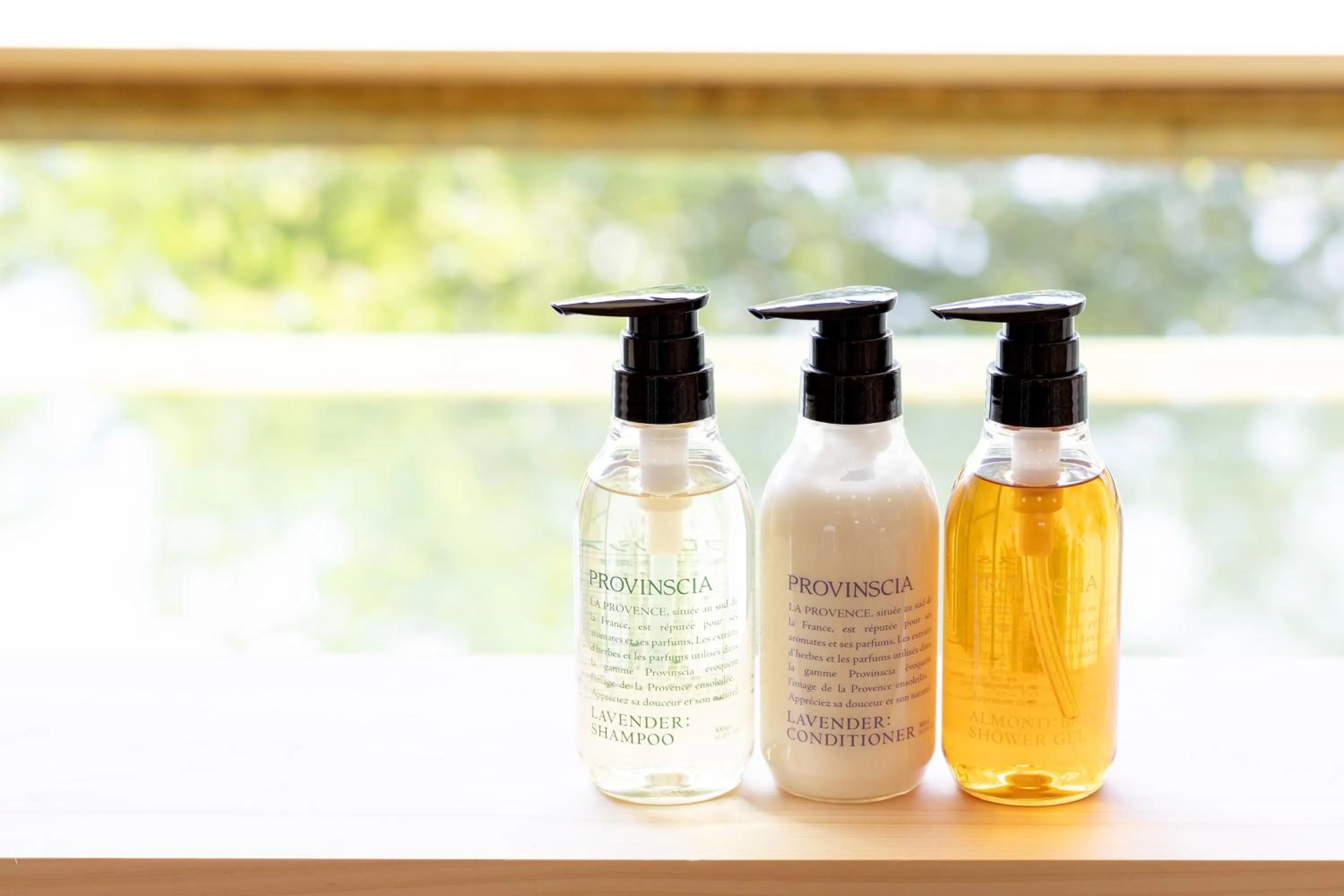 Bathroom in Hakone Ashinoko Bikeikan 箱根芦ノ湖 美景館