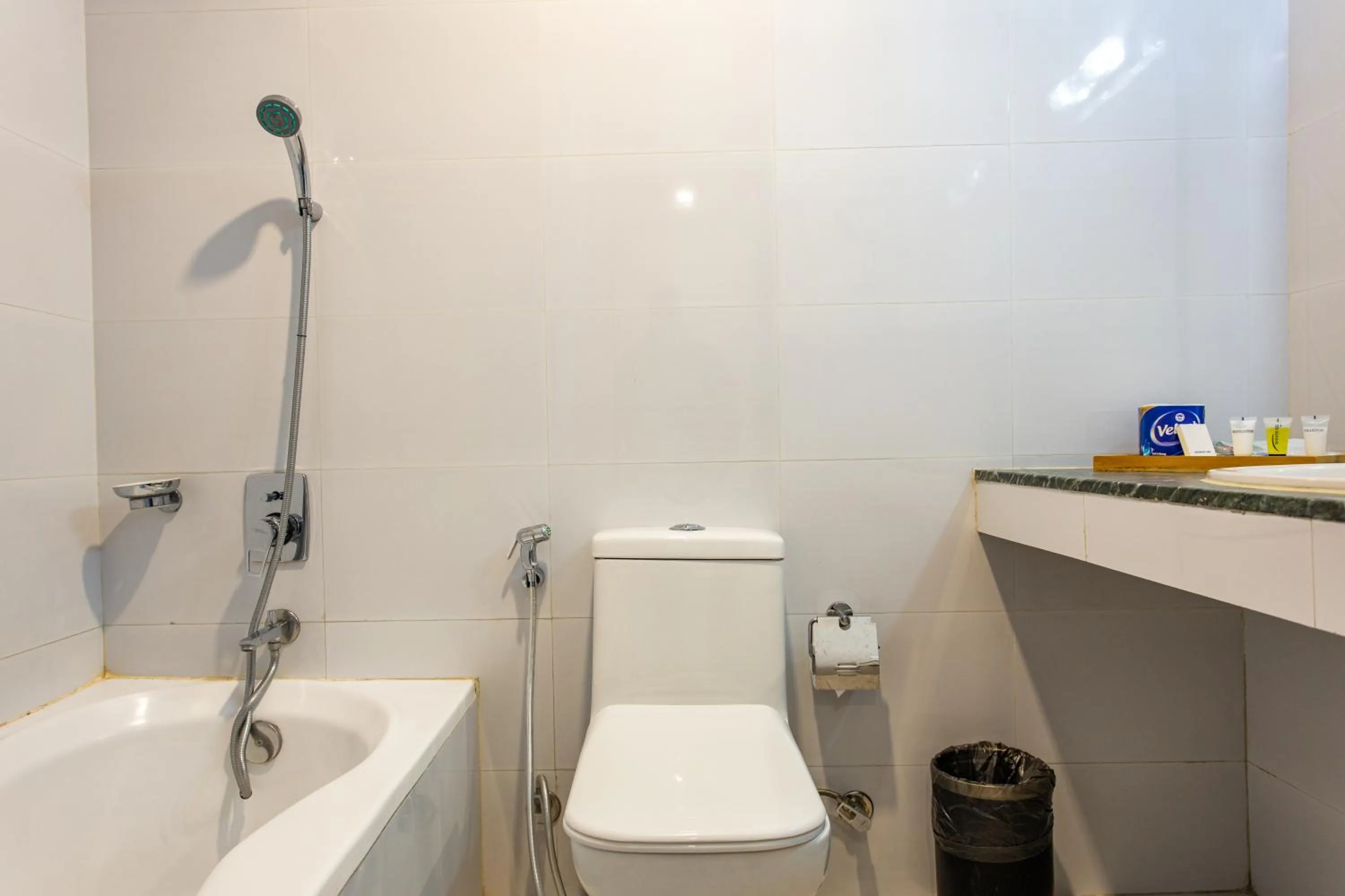 Shower in Kathmandu Business Hotel