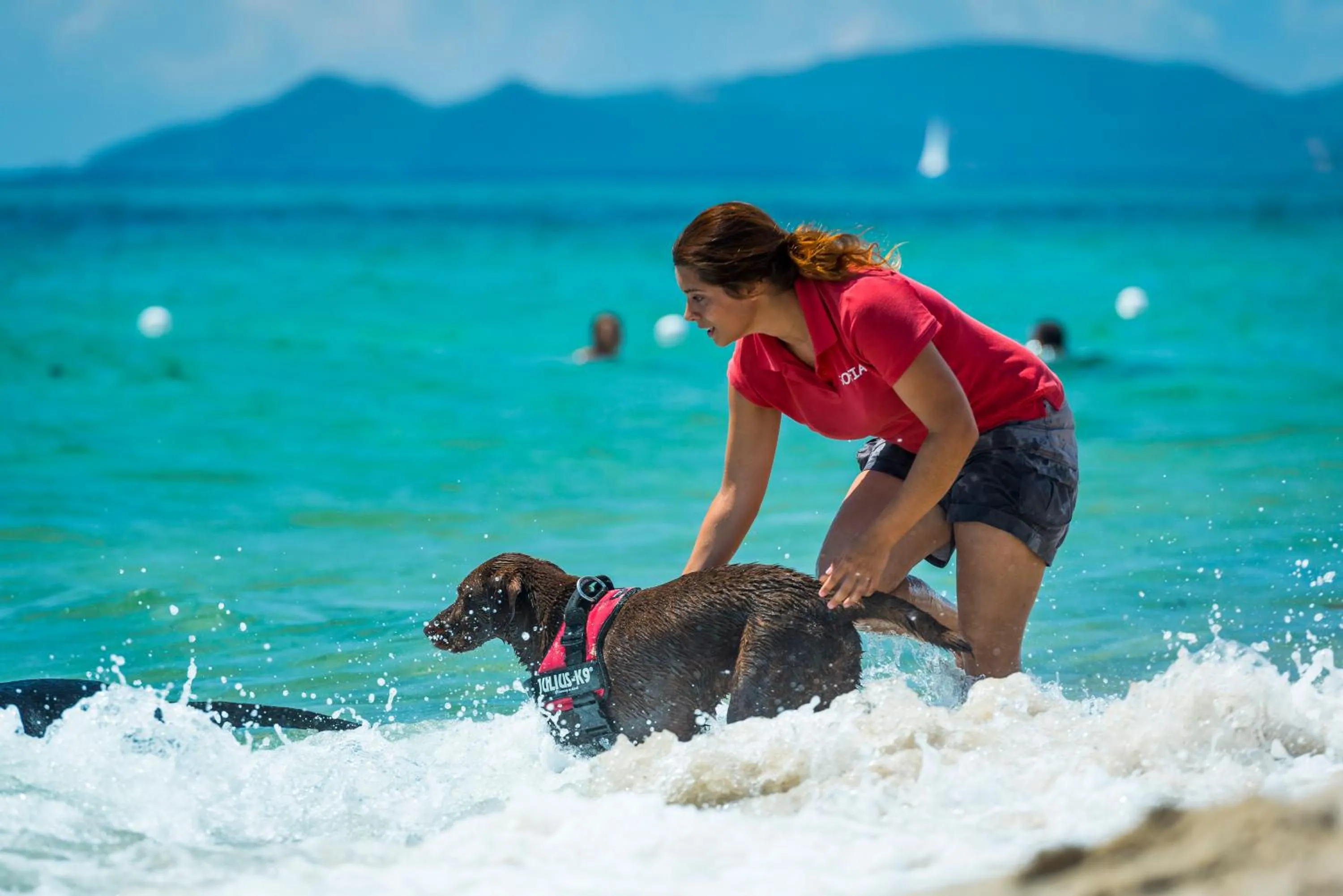 Pets in Tiliguerta Glamping&Camping Village