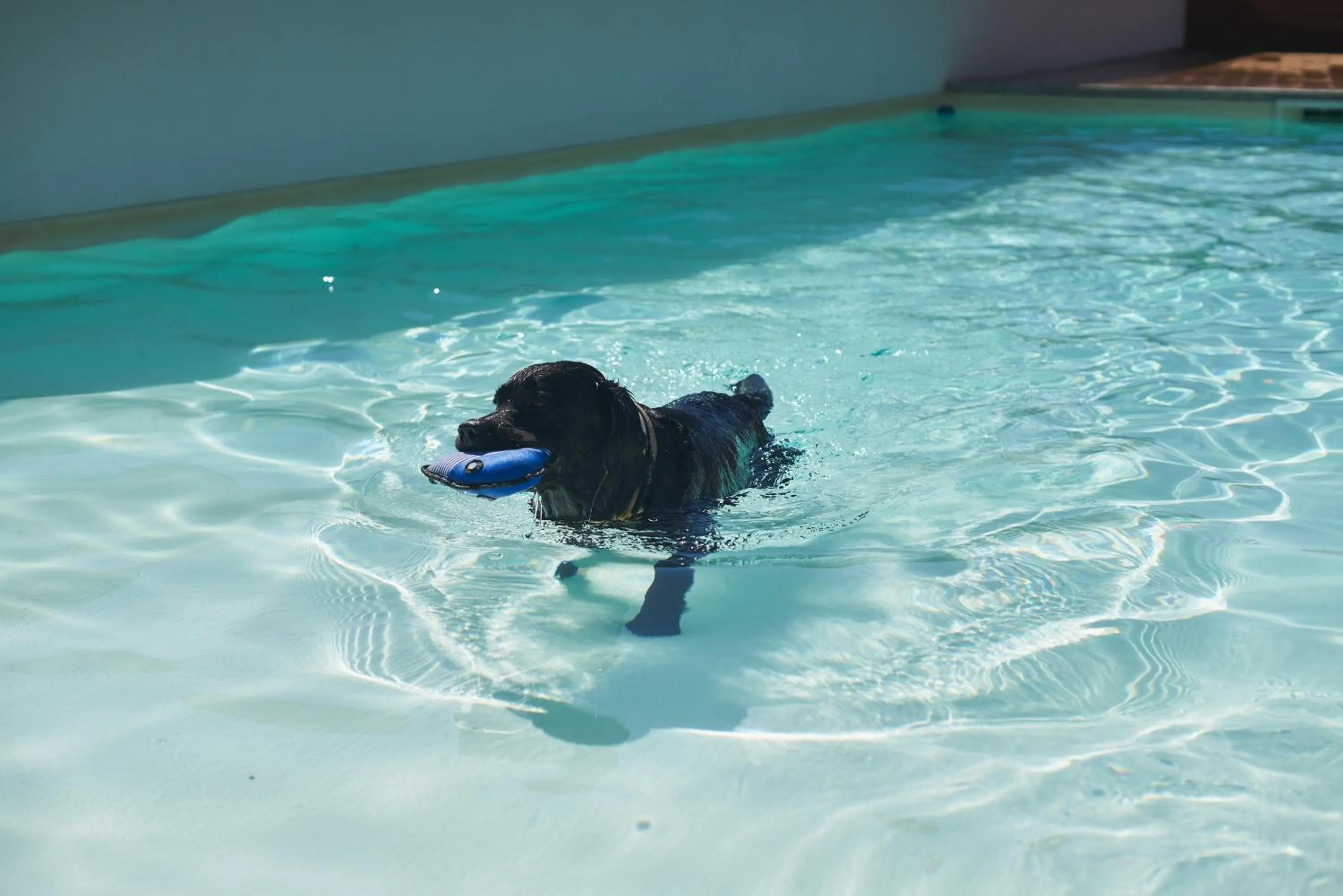 Swimming pool in Tiliguerta Glamping&Camping Village