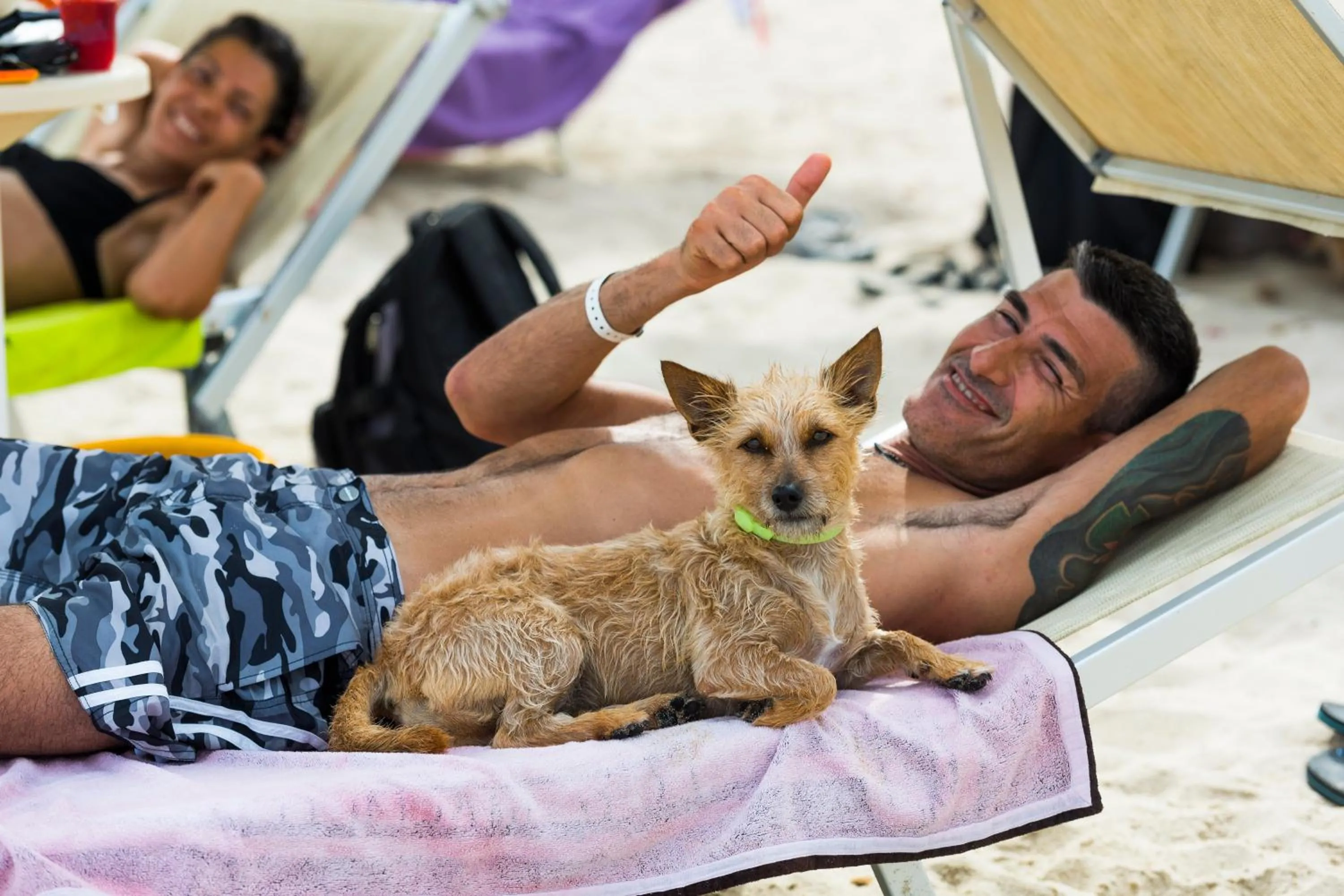Pets in Tiliguerta Glamping&Camping Village