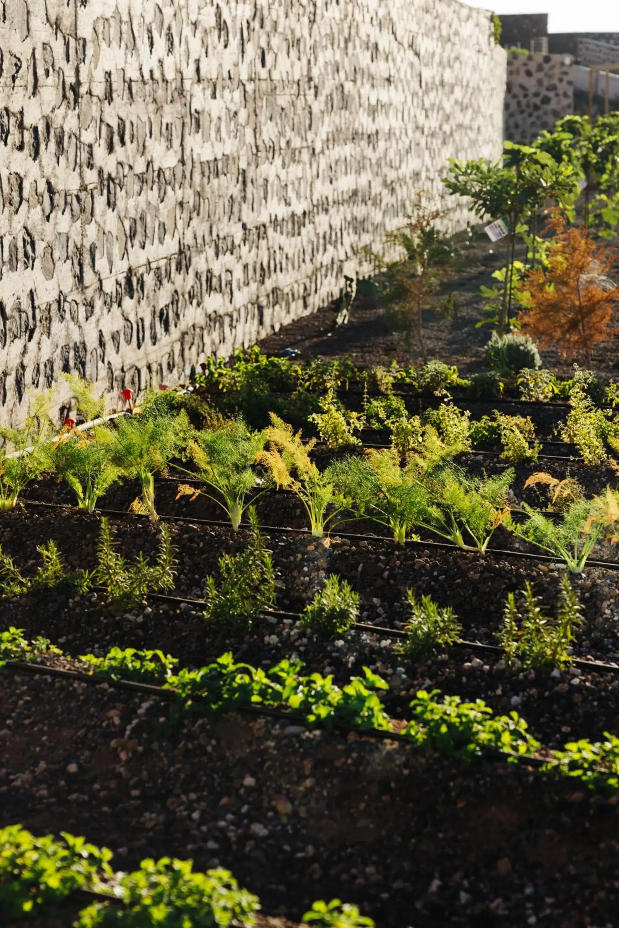 Off site in BANCAL HOTEL and SPA Off site in BANCAL HOTEL and SPA