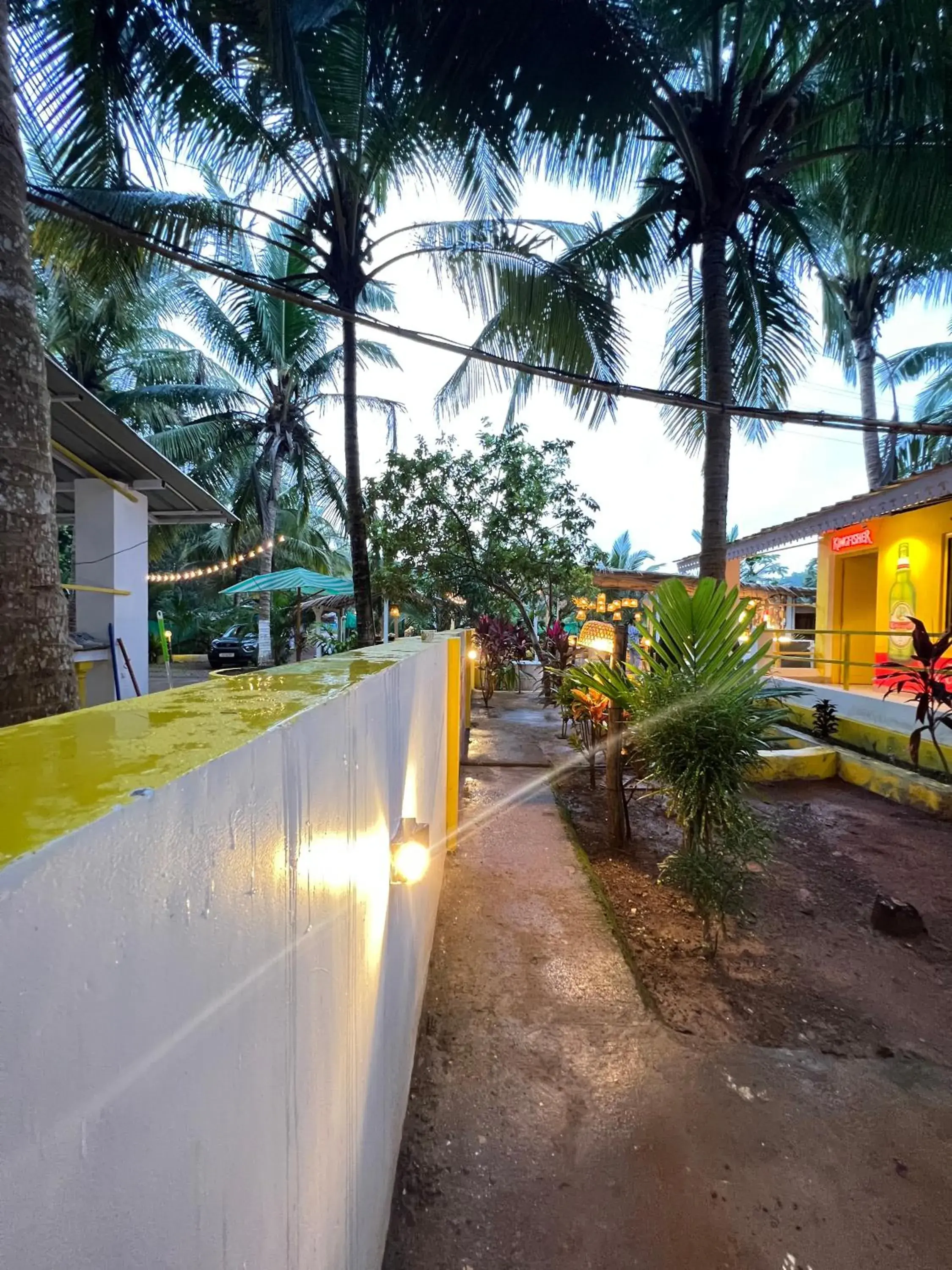 Garden view in Whoopers Party Hostel, Palolem Garden view in Whoopers Party Hostel, Palolem