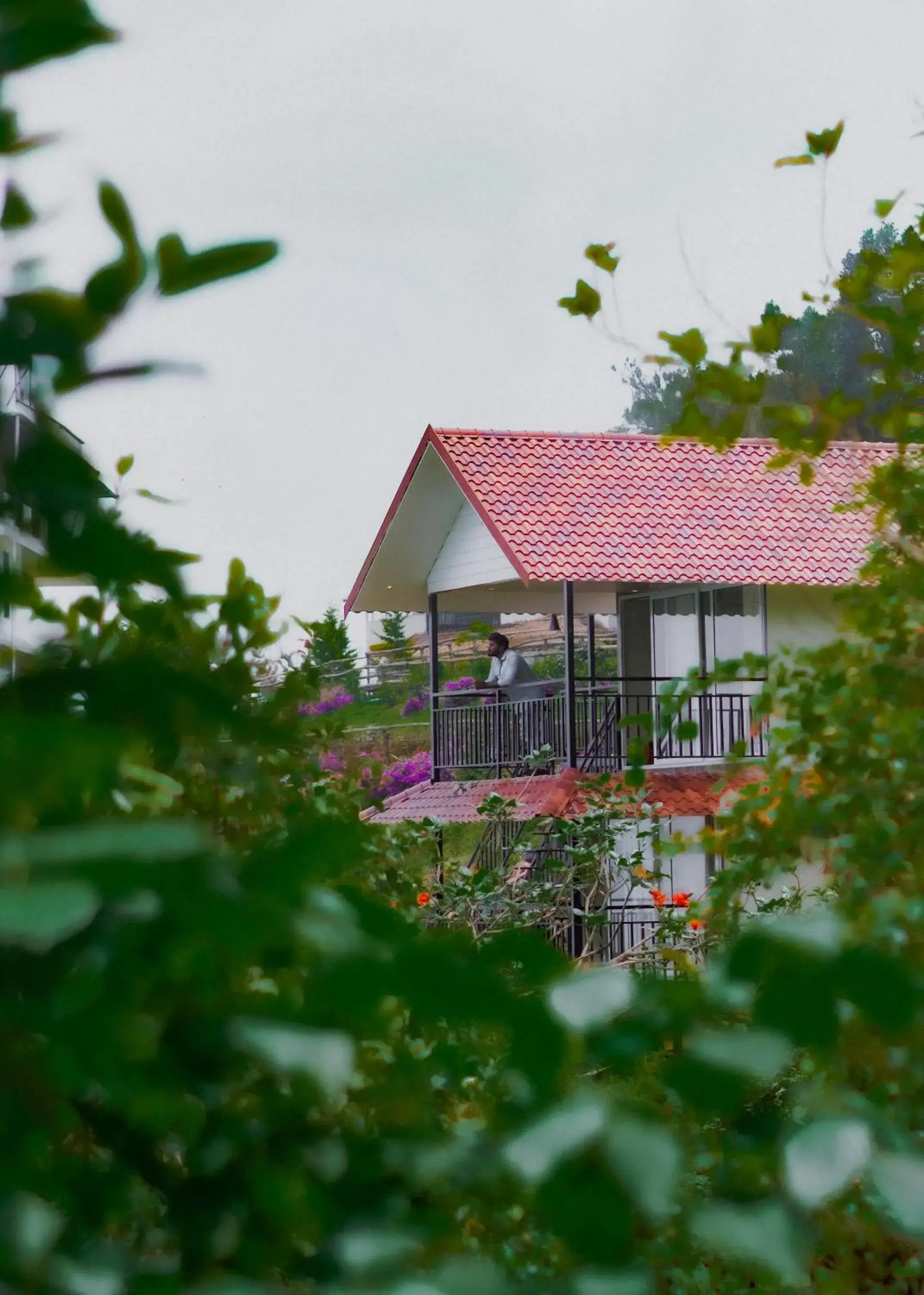 Deluxe Quadruple Room in Forest County Deluxe Quadruple Room in Forest County