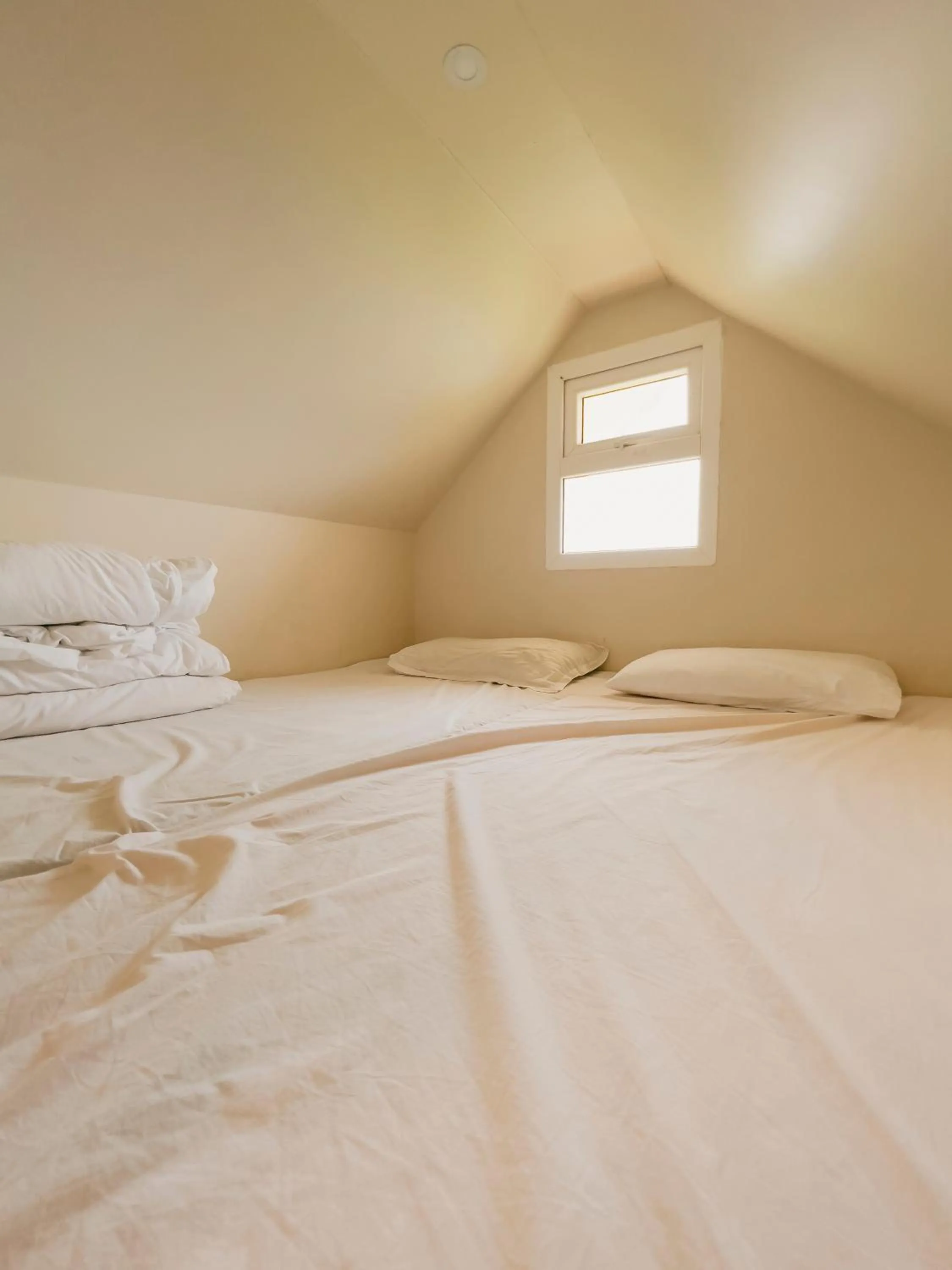 Bed in Forest County