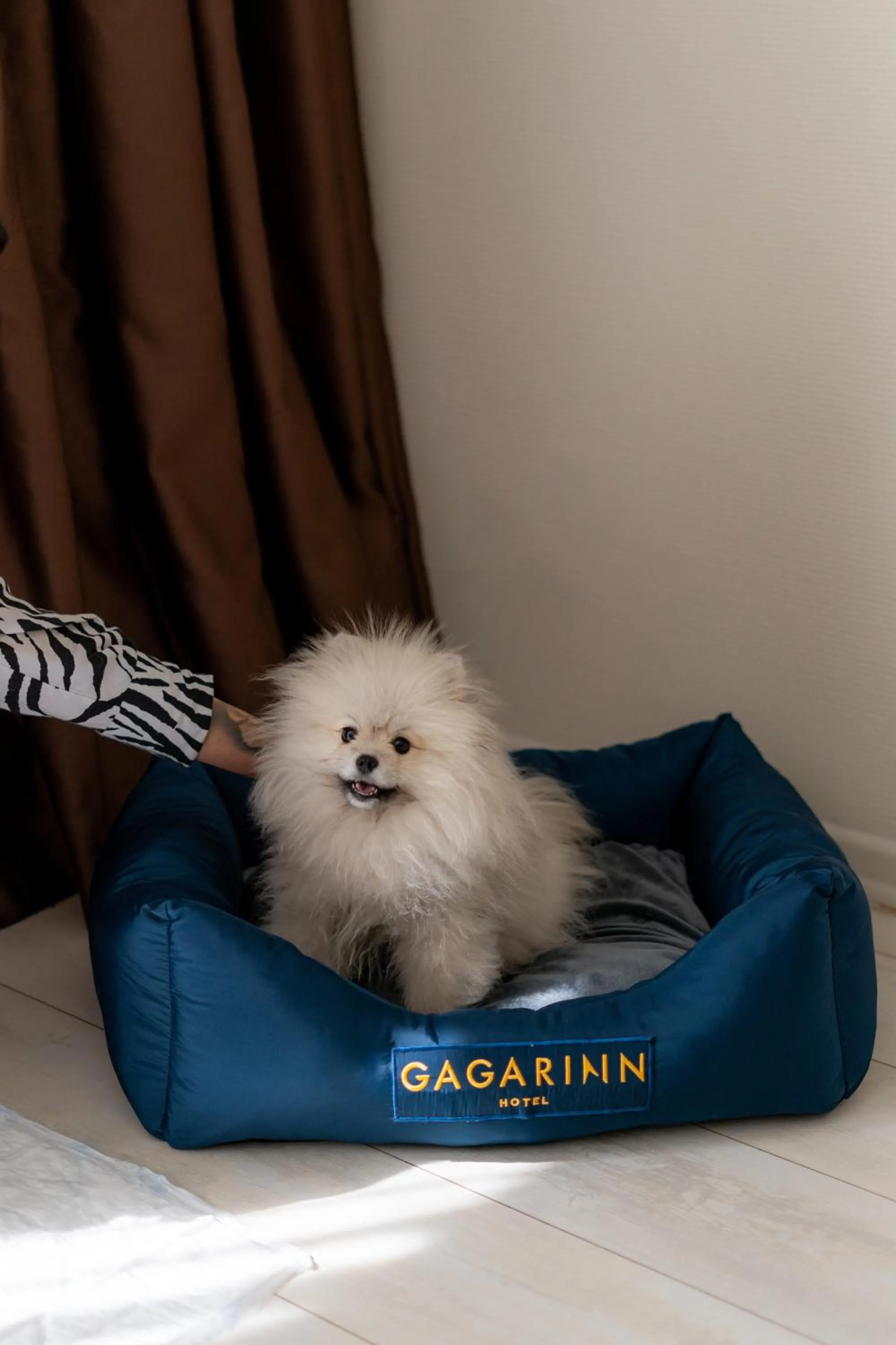 Pets in Gagarinn