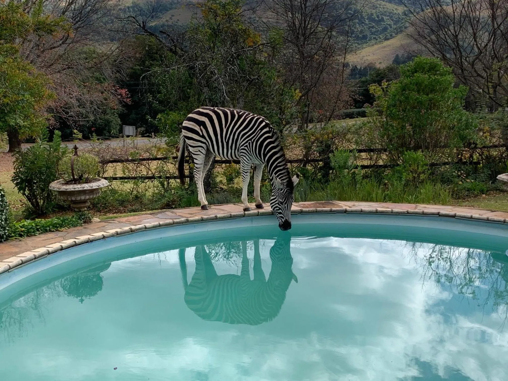 Swimming pool in Cathkin Cottage Bed & Breakfast