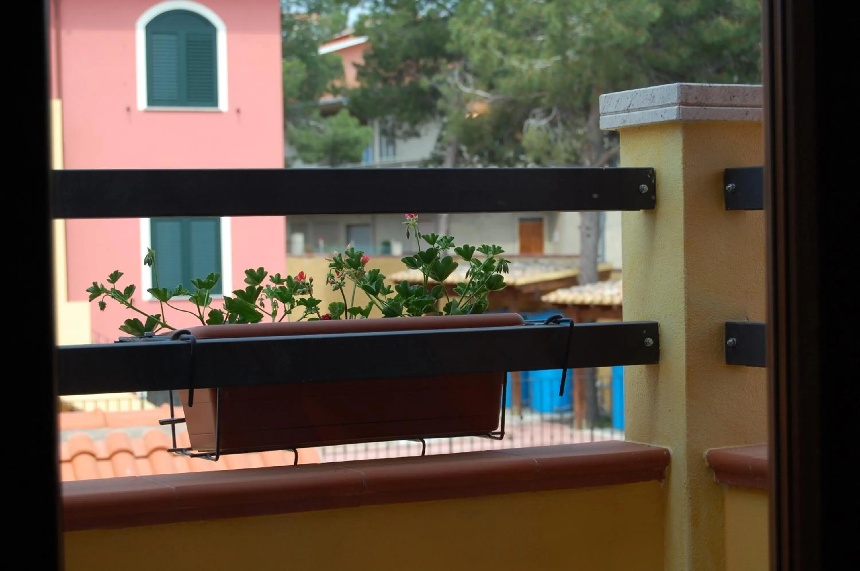 L'Agave