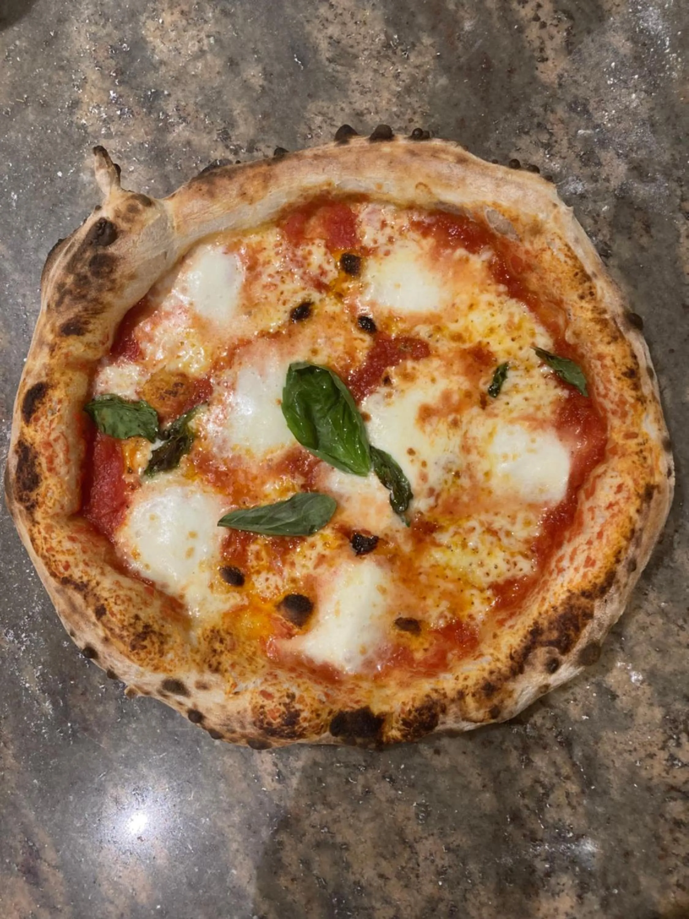 Food and drinks in Sorrento Hotel & Restaurant