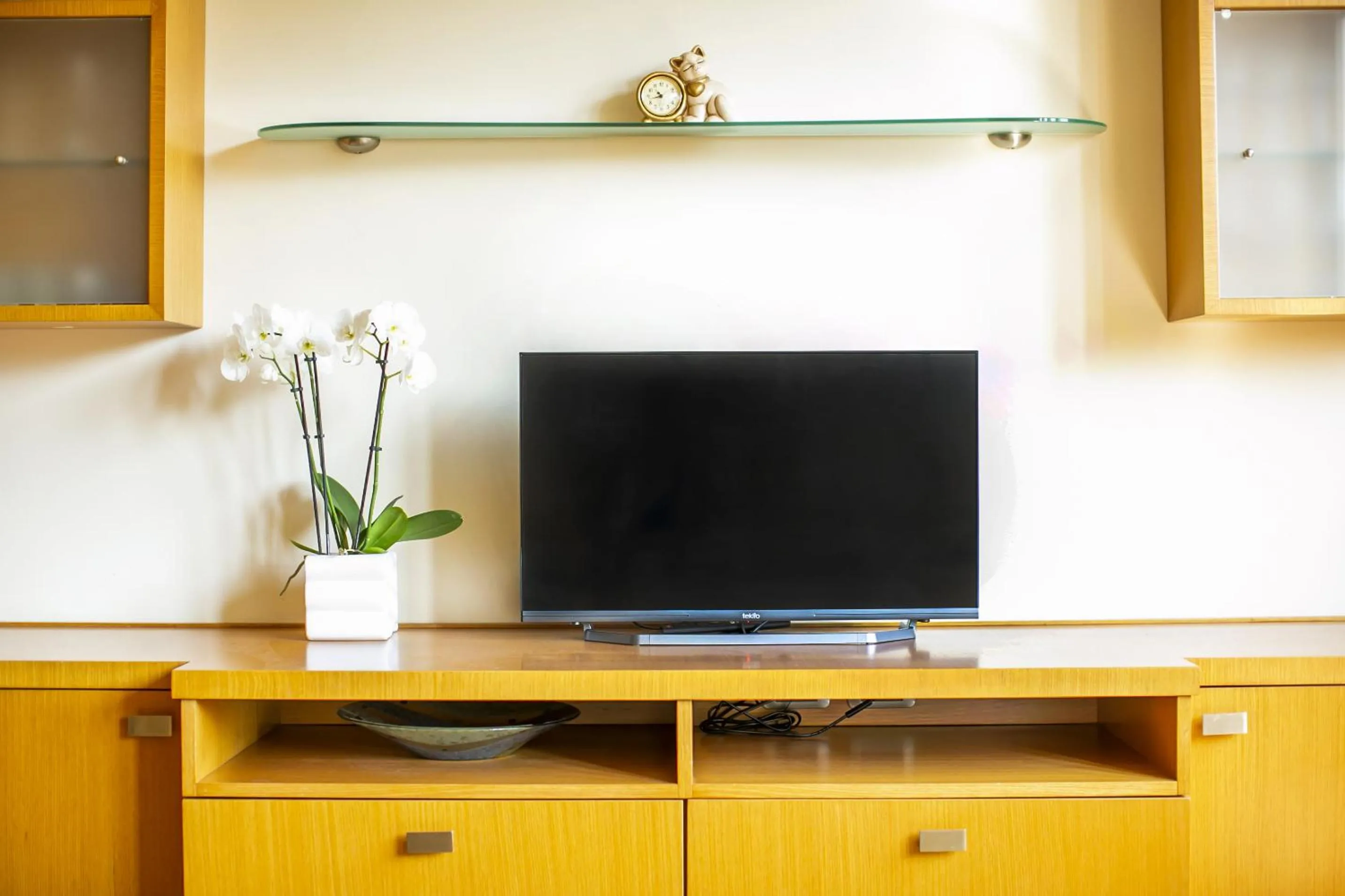 TV and multimedia in Skyline by Comorooms