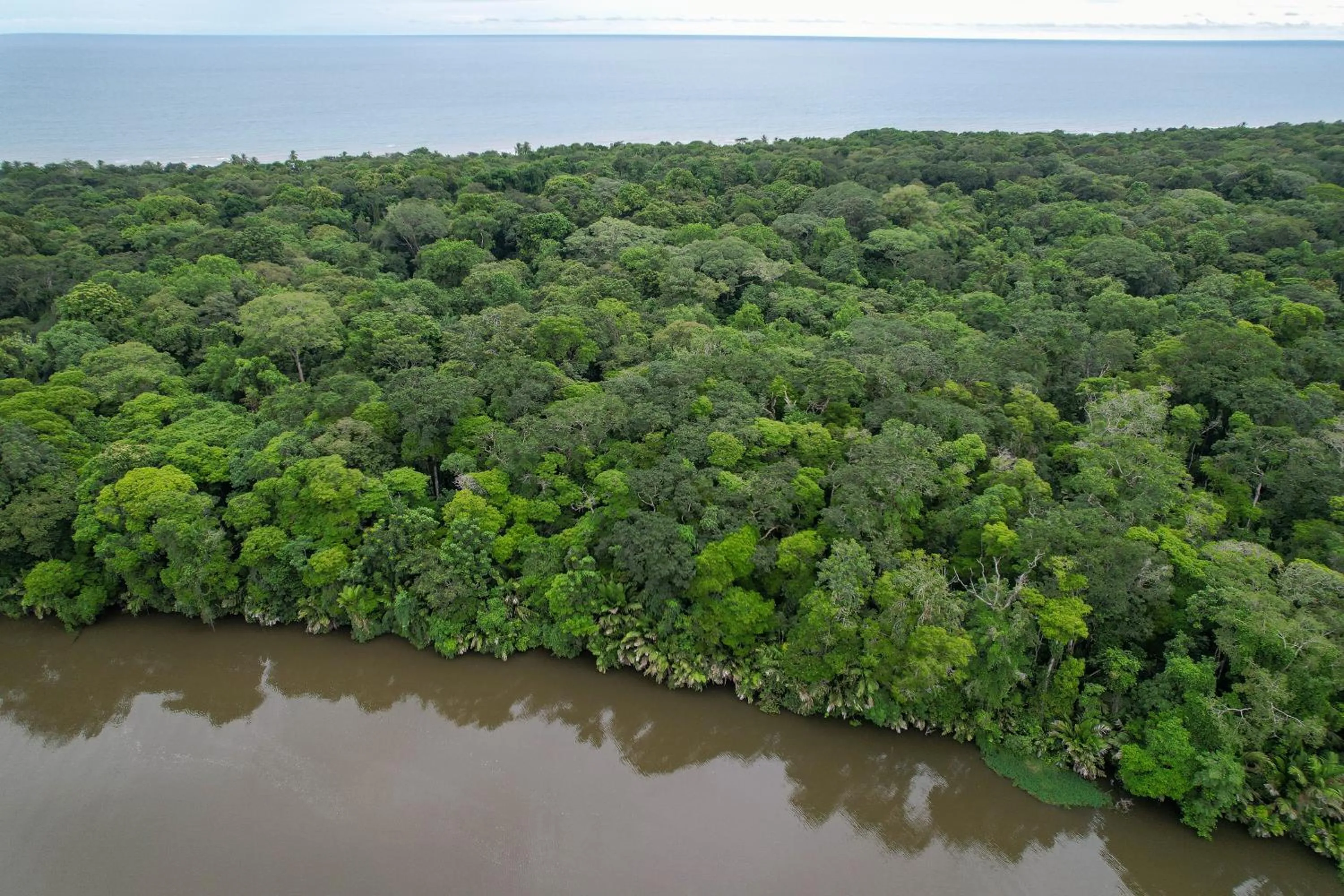 Nearby landmark in El Deseo Serendipity Tortuguero