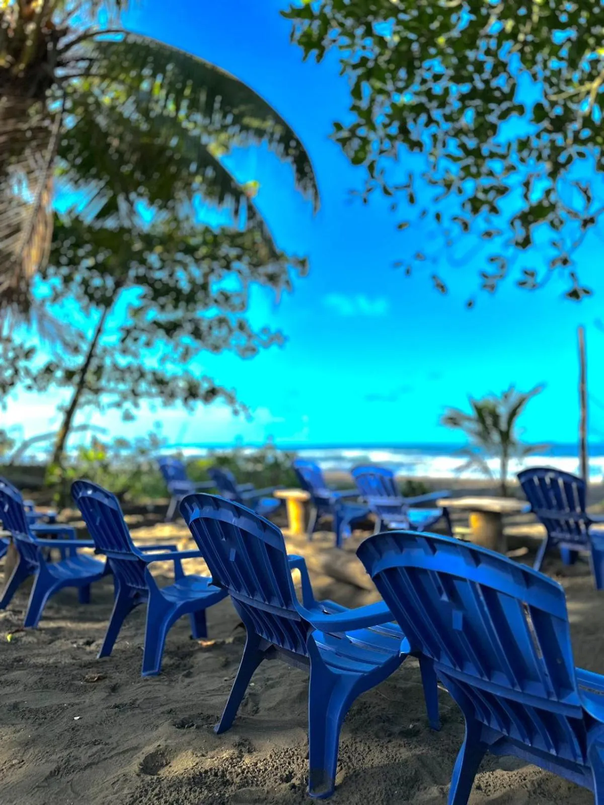 Day in El Deseo Serendipity Tortuguero