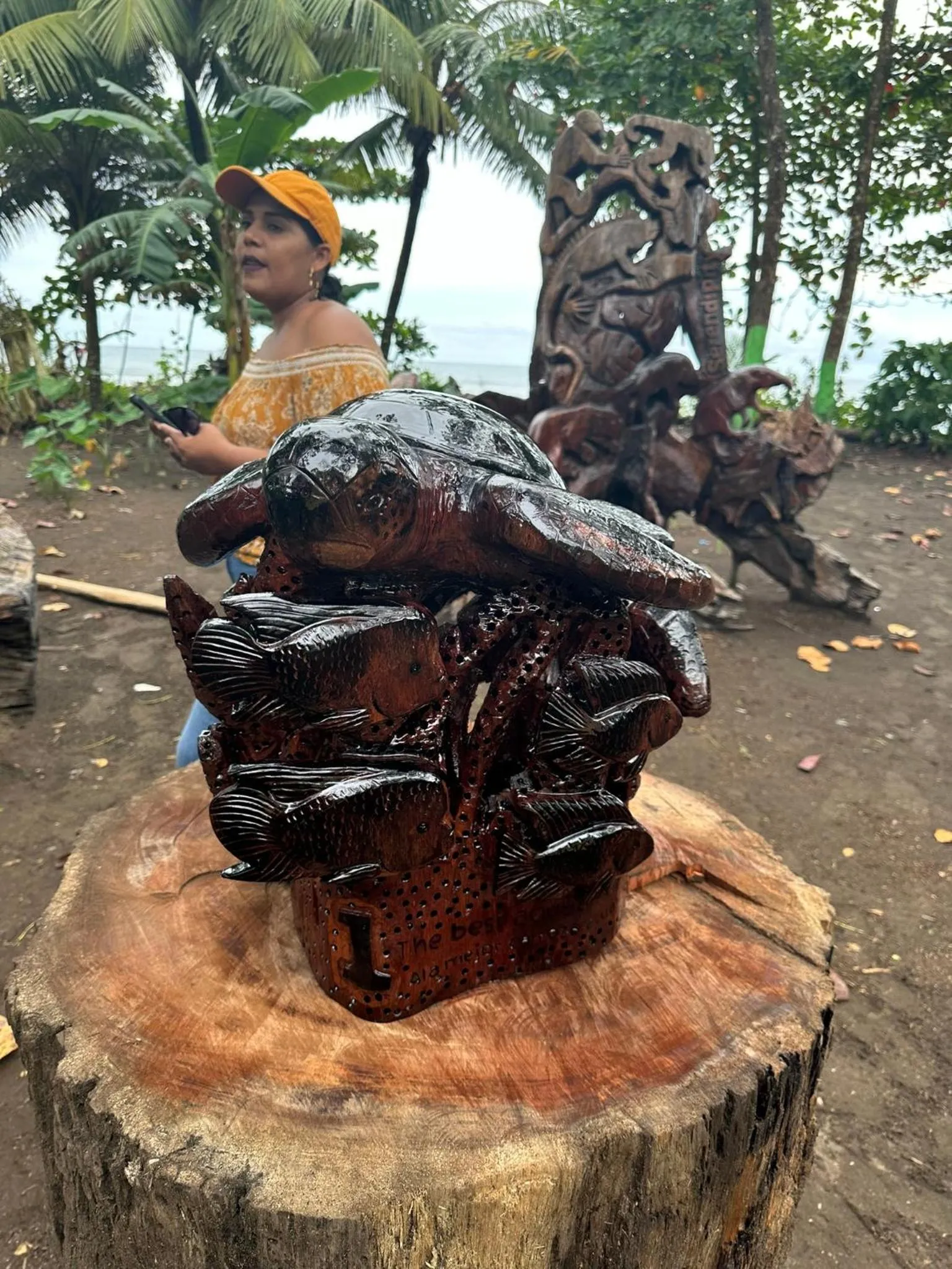 Certificate/Award in El Deseo Serendipity Tortuguero