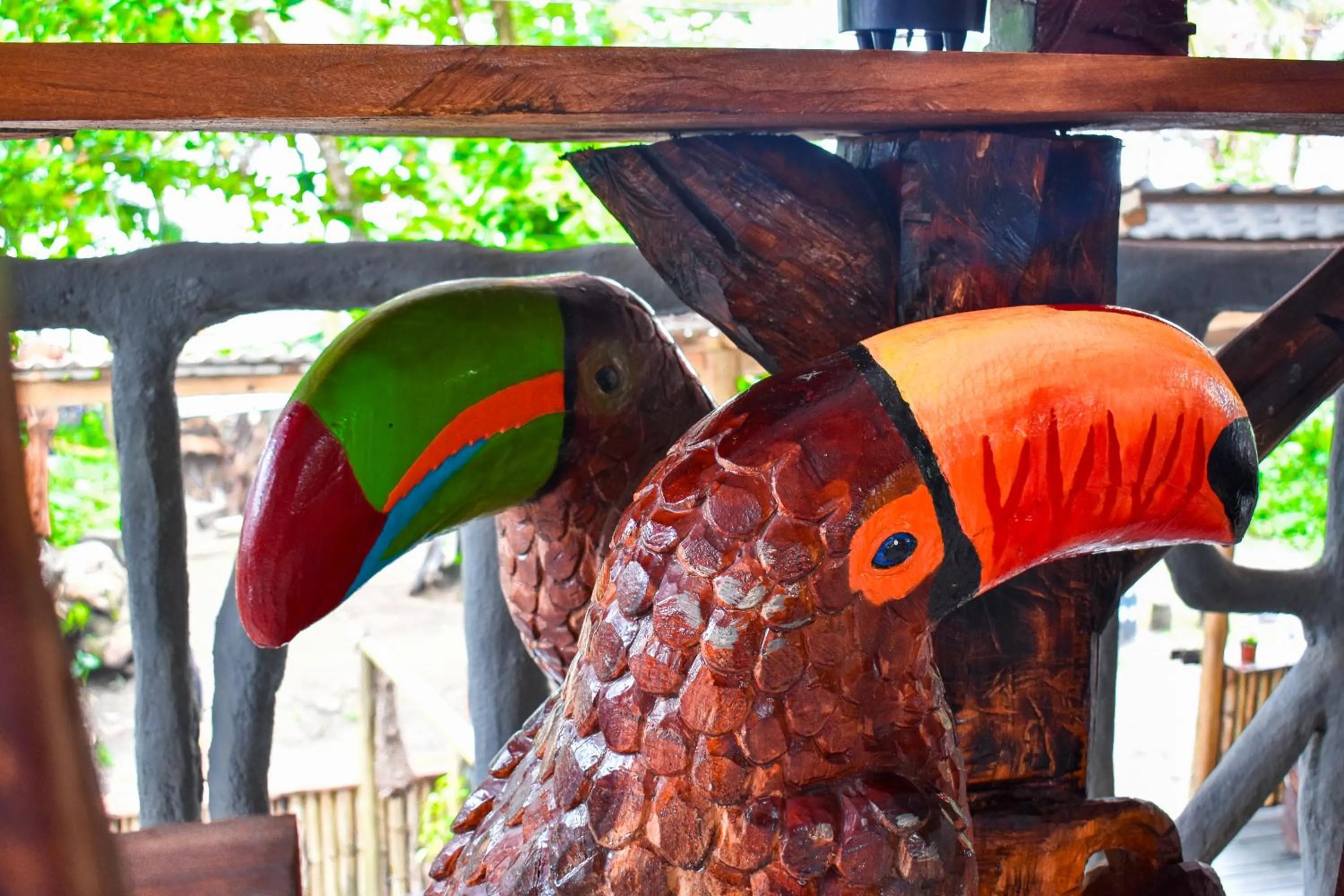 Day in El Deseo Serendipity Tortuguero