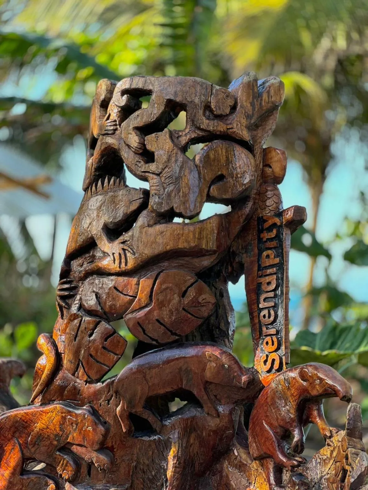 Day in El Deseo Serendipity Tortuguero