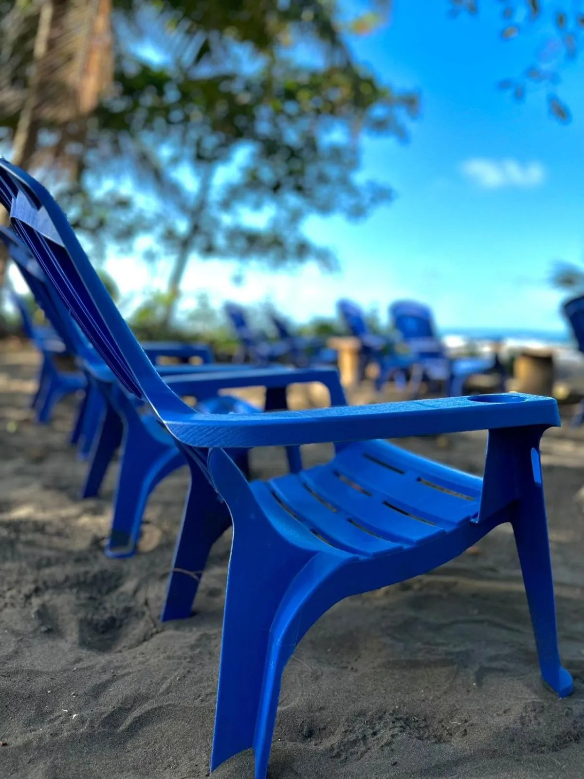 Day in El Deseo Serendipity Tortuguero