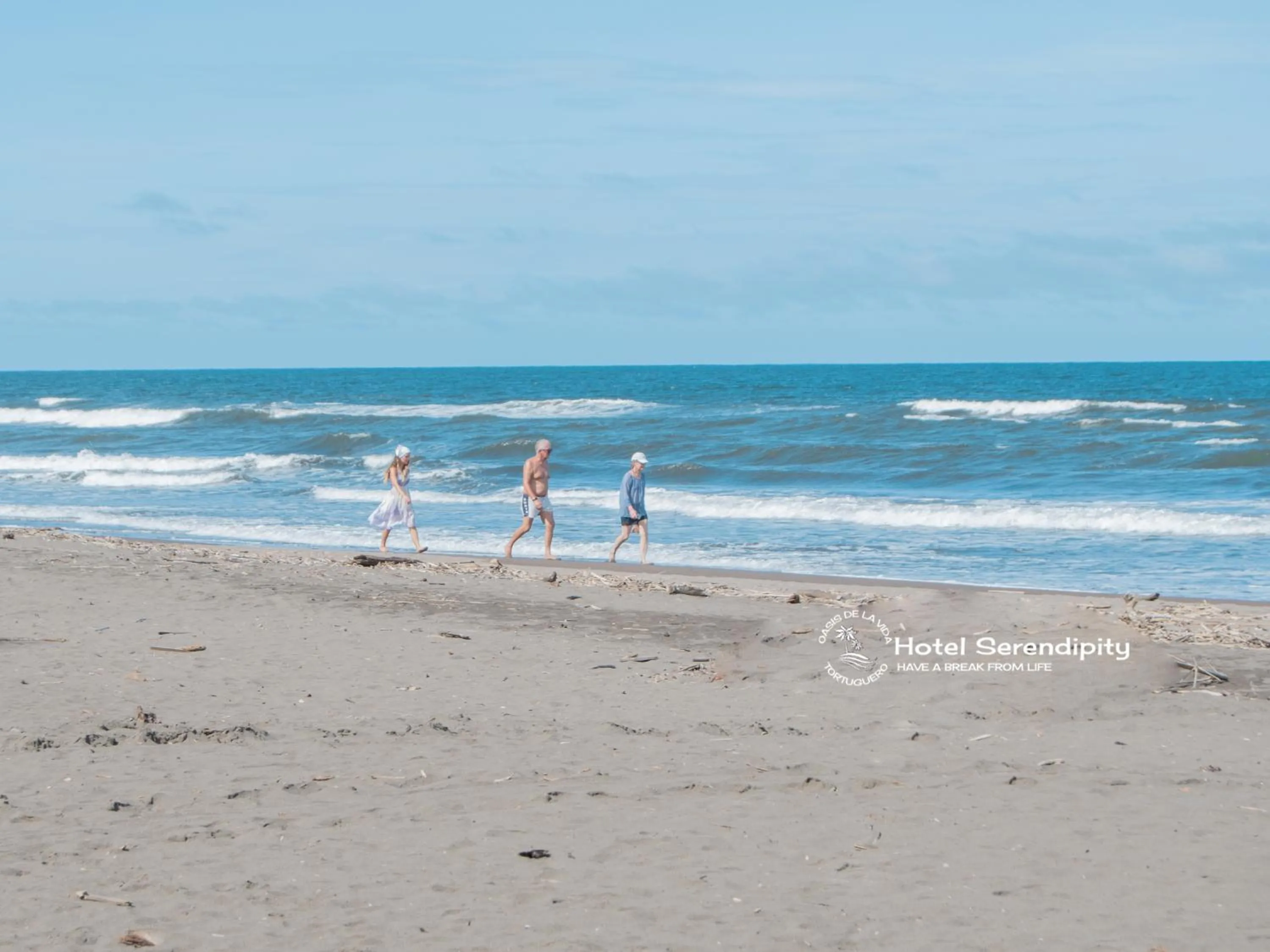 Day in El Deseo Serendipity Tortuguero